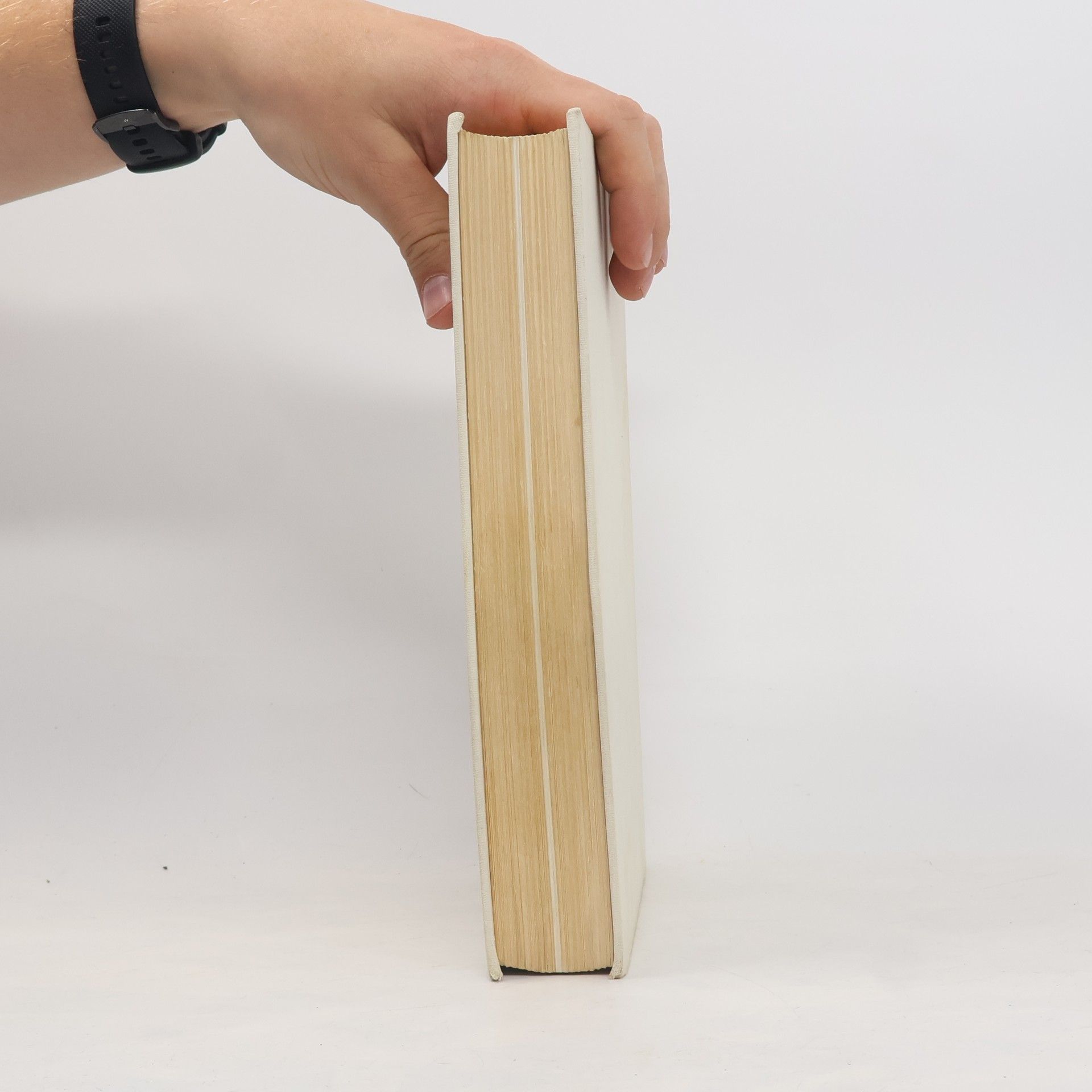 Zdeňka Tichá Průvodce po dějinách české literatury