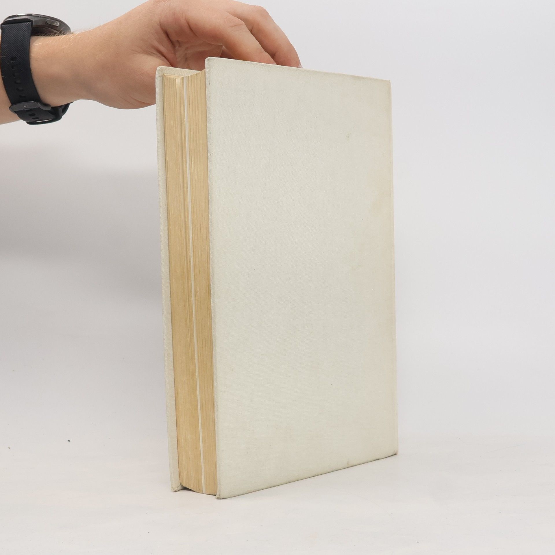 Zdeňka Tichá Průvodce po dějinách české literatury