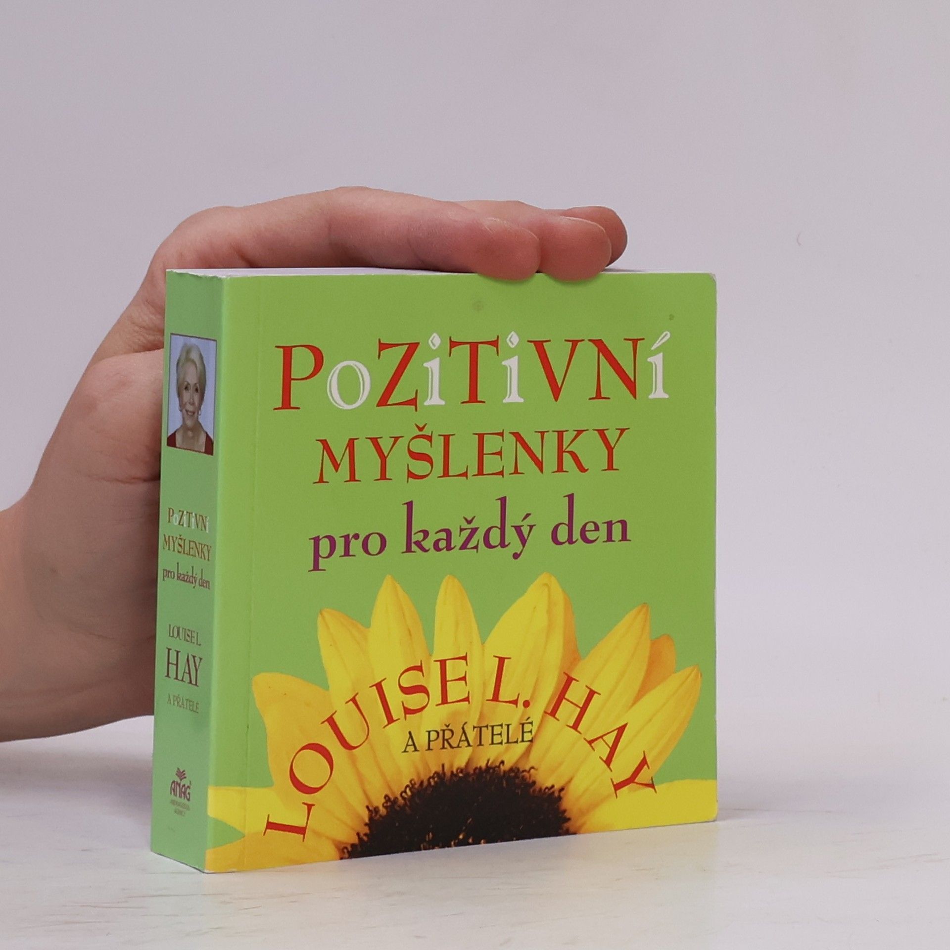 Lousie L. Hay Pozitivní myšlenky pro každý den