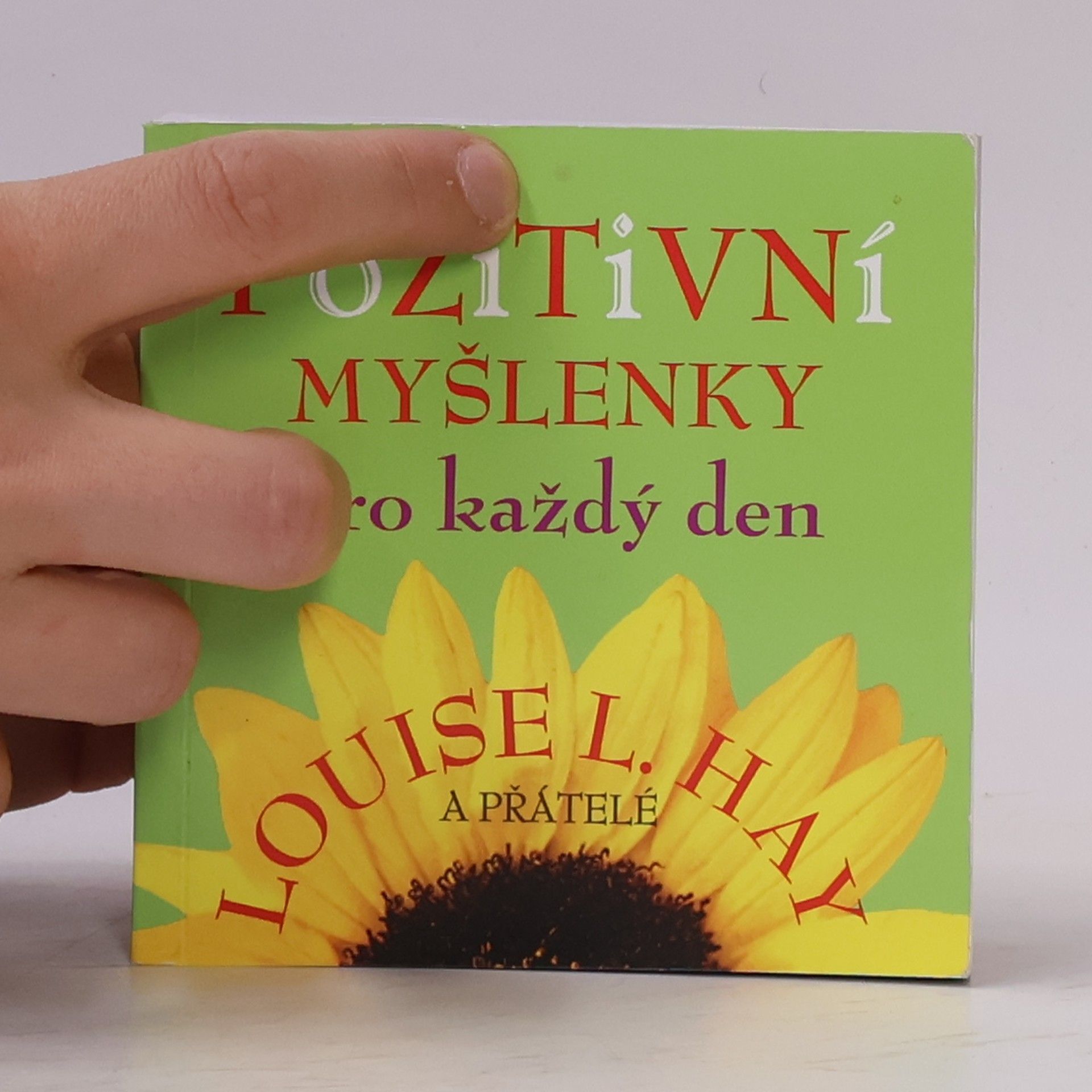 Lousie L. Hay Pozitivní myšlenky pro každý den