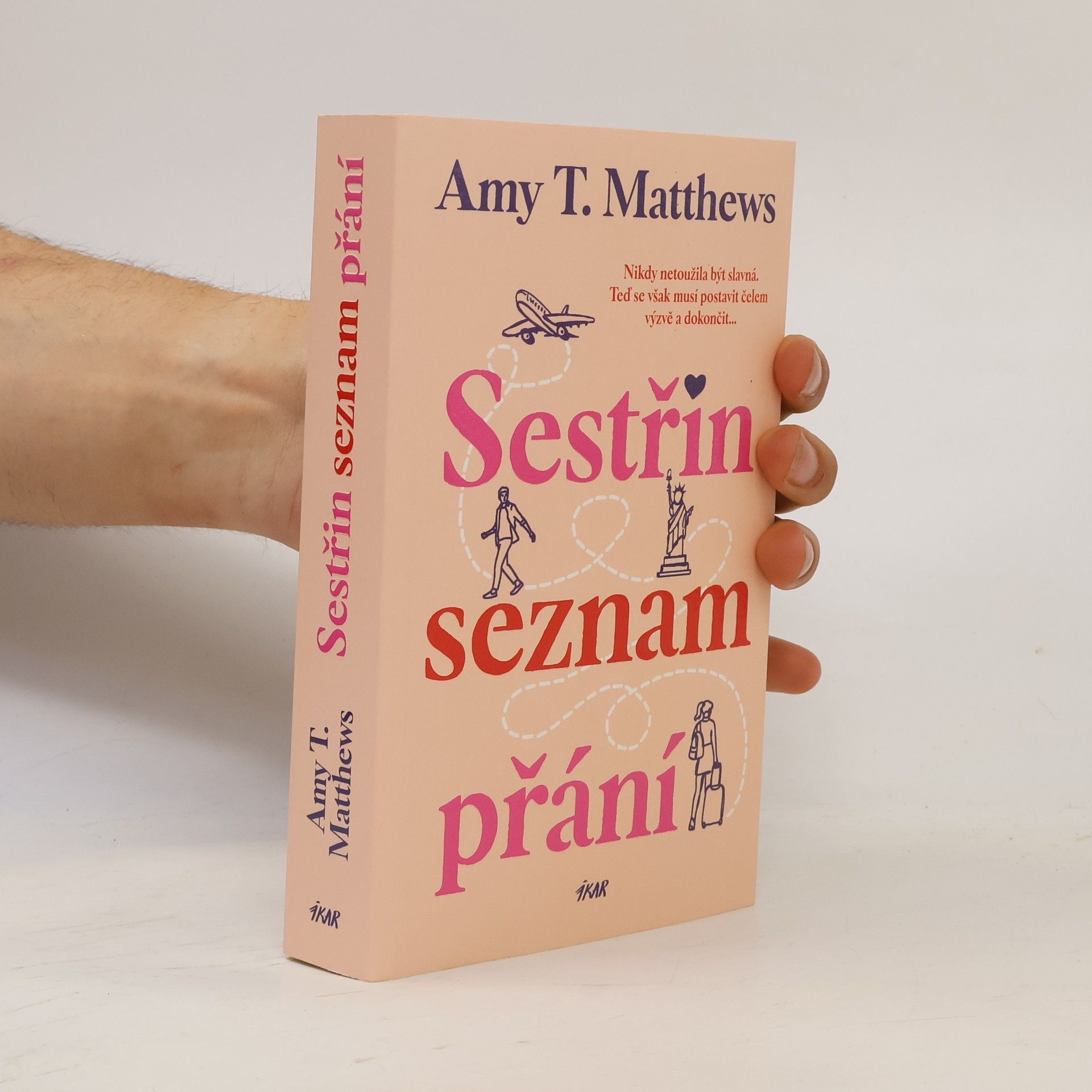 Amy Matthews Sestřin seznam přání