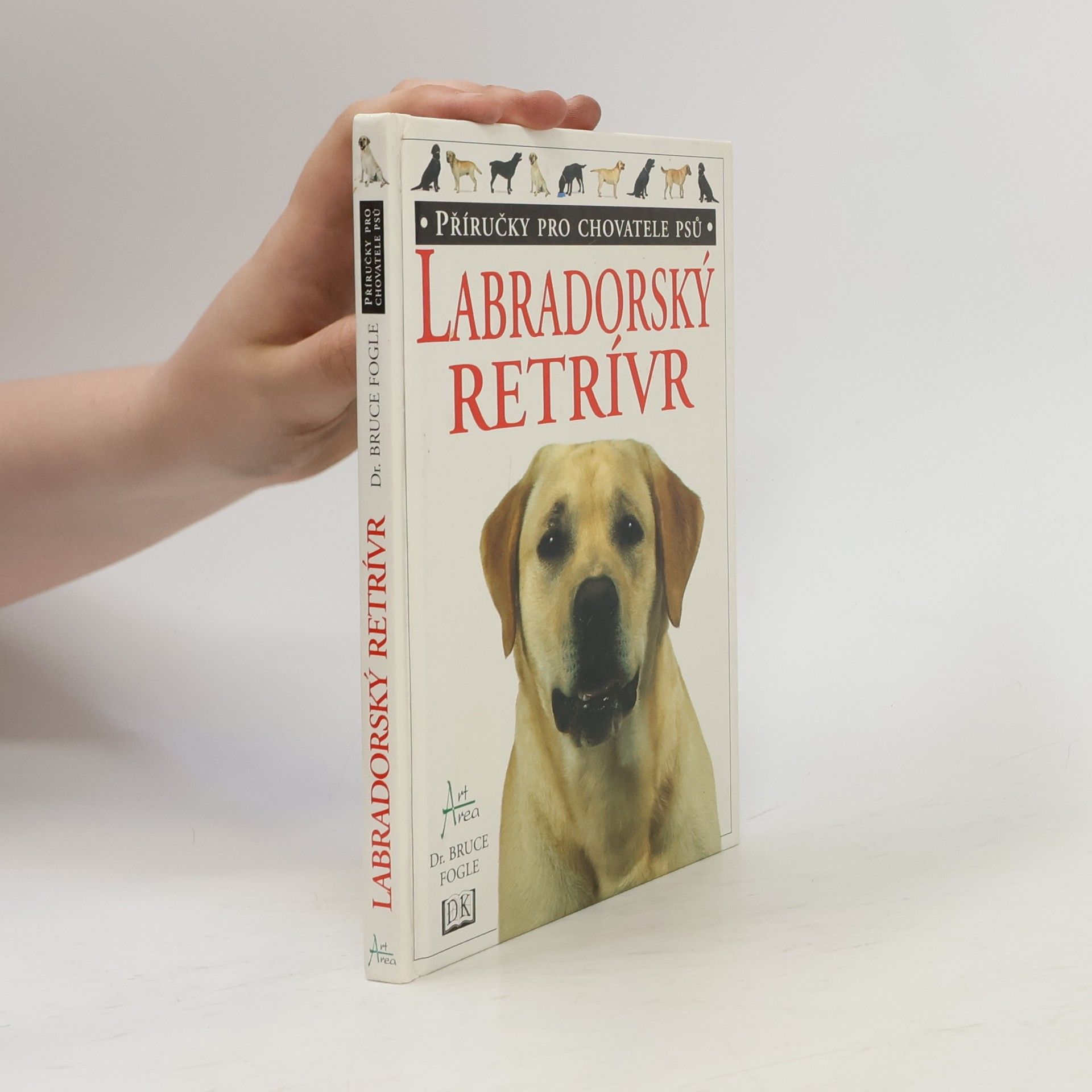 Labradorský retrívr