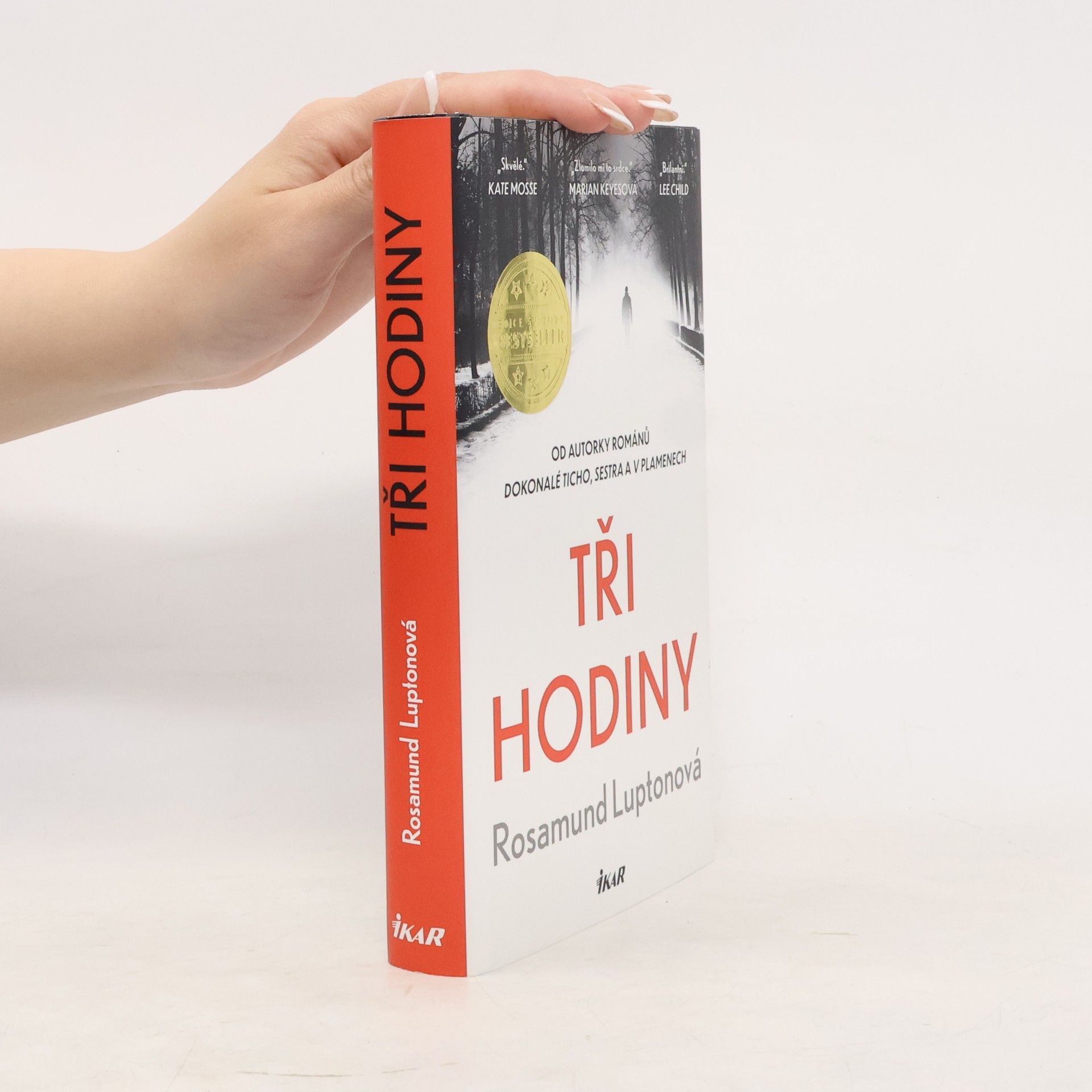 Rosamund Lupton Tři hodiny