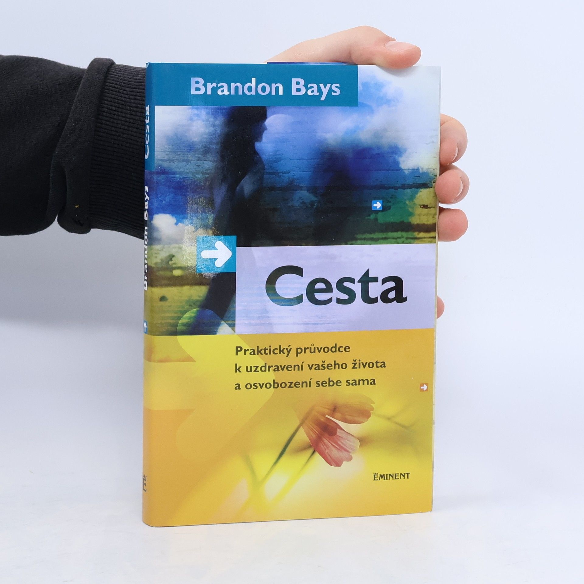 Brandon Bays Cesta