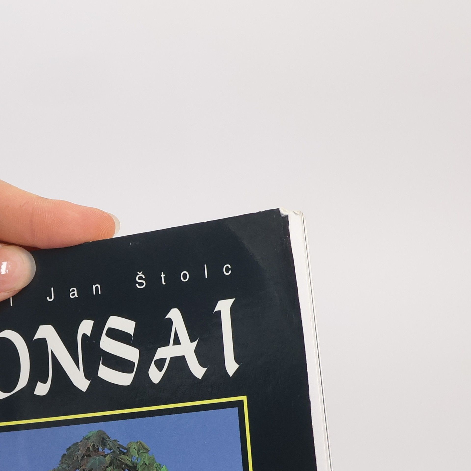 Karel Jan Štolc Bonsai