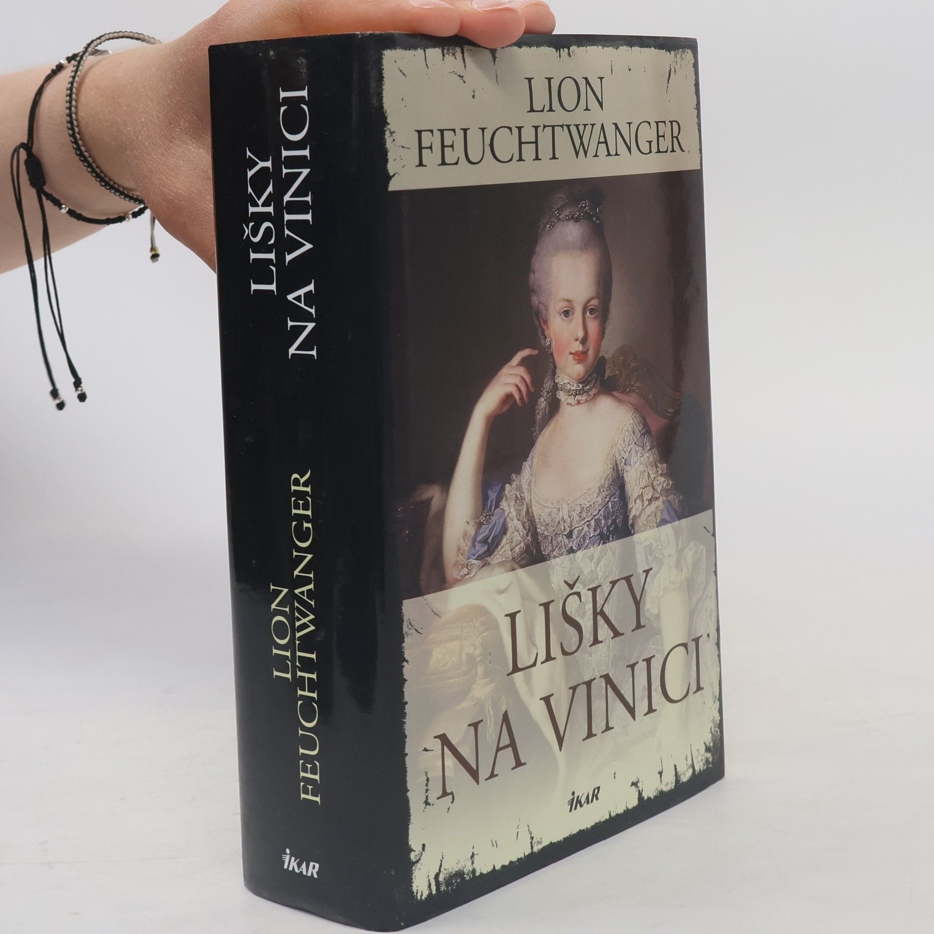 Lion Feuchtwanger Lišky na vinici