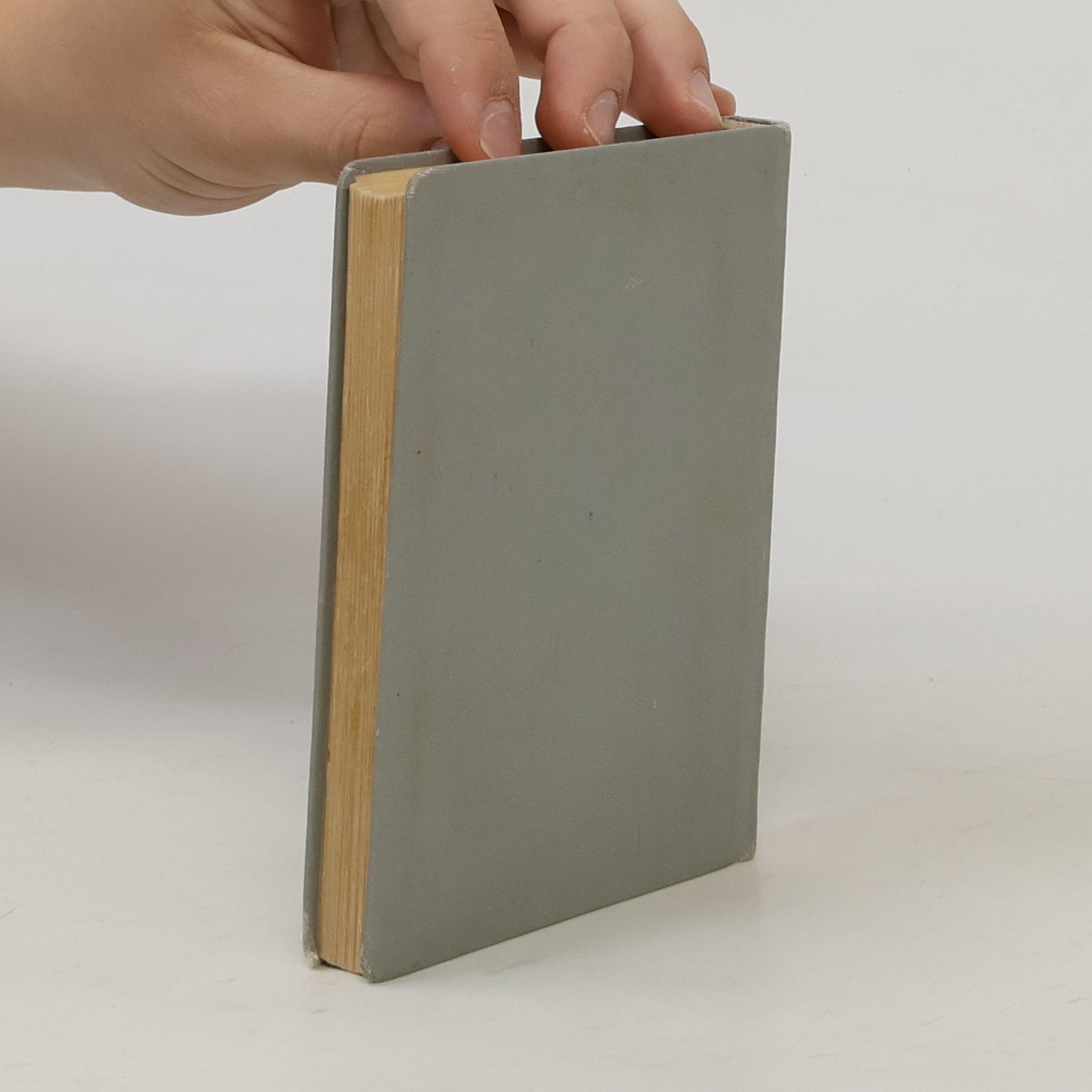 Autorenkollektiv Taschen-Wörterbuch. Tschechisch-Deutsch