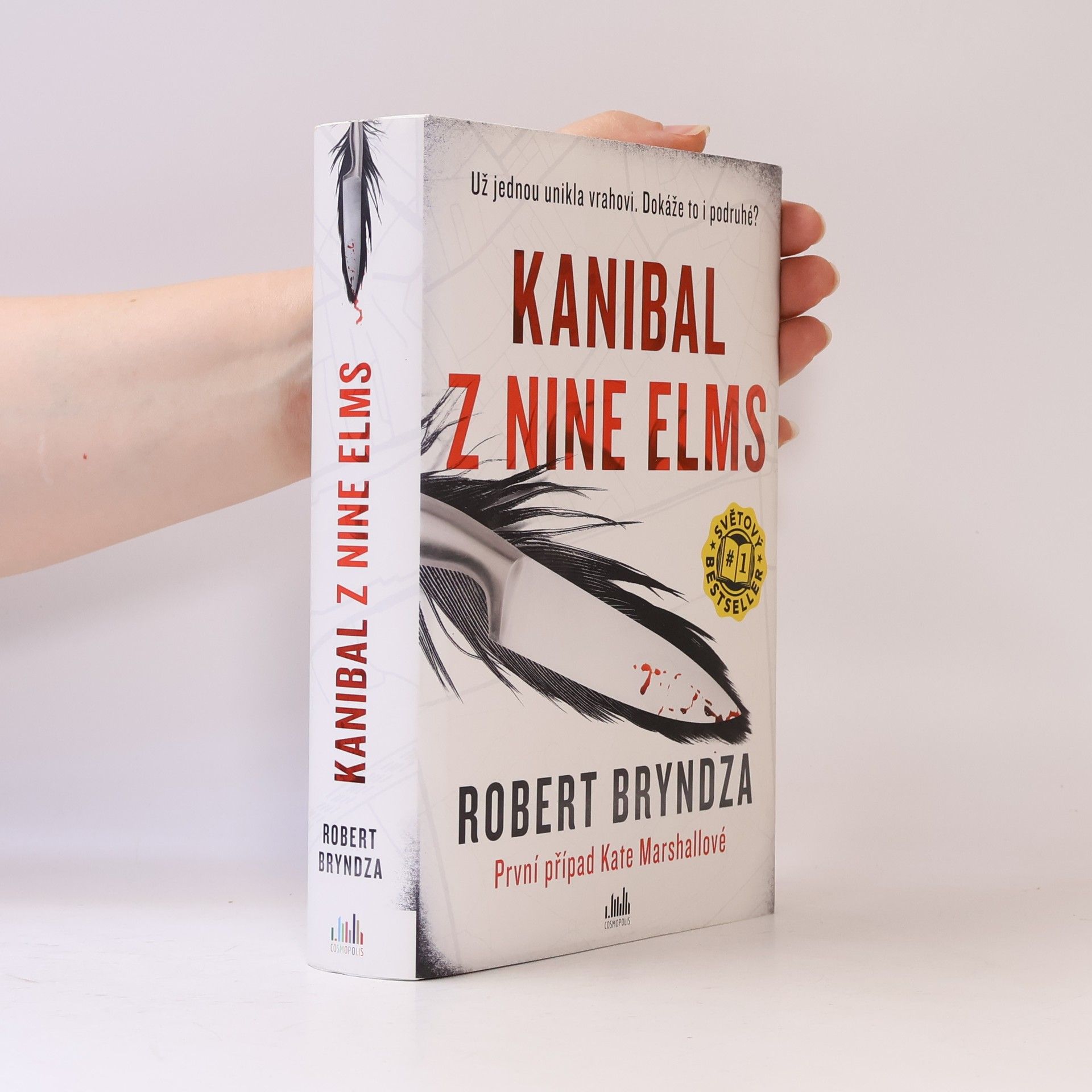Robert Bryndza Kanibal z Nine Elms