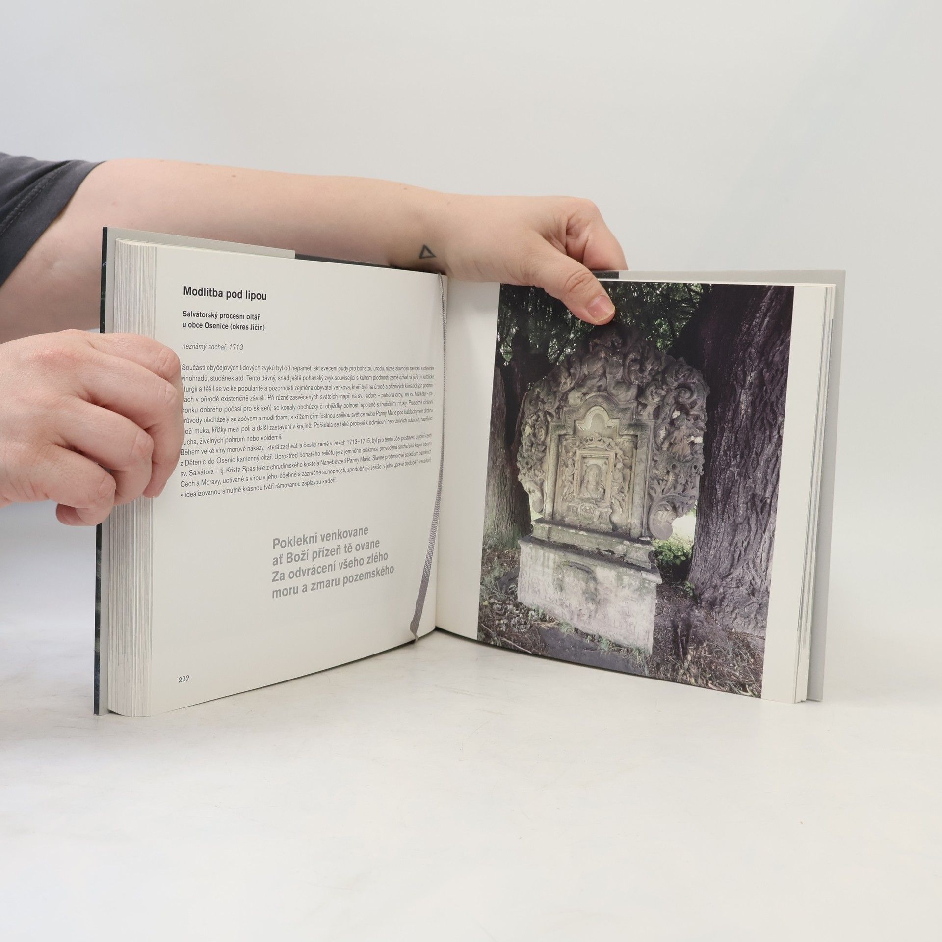 Jiří T. Kotalík Drobné perly české architektury: Veletucet typologických příkladů