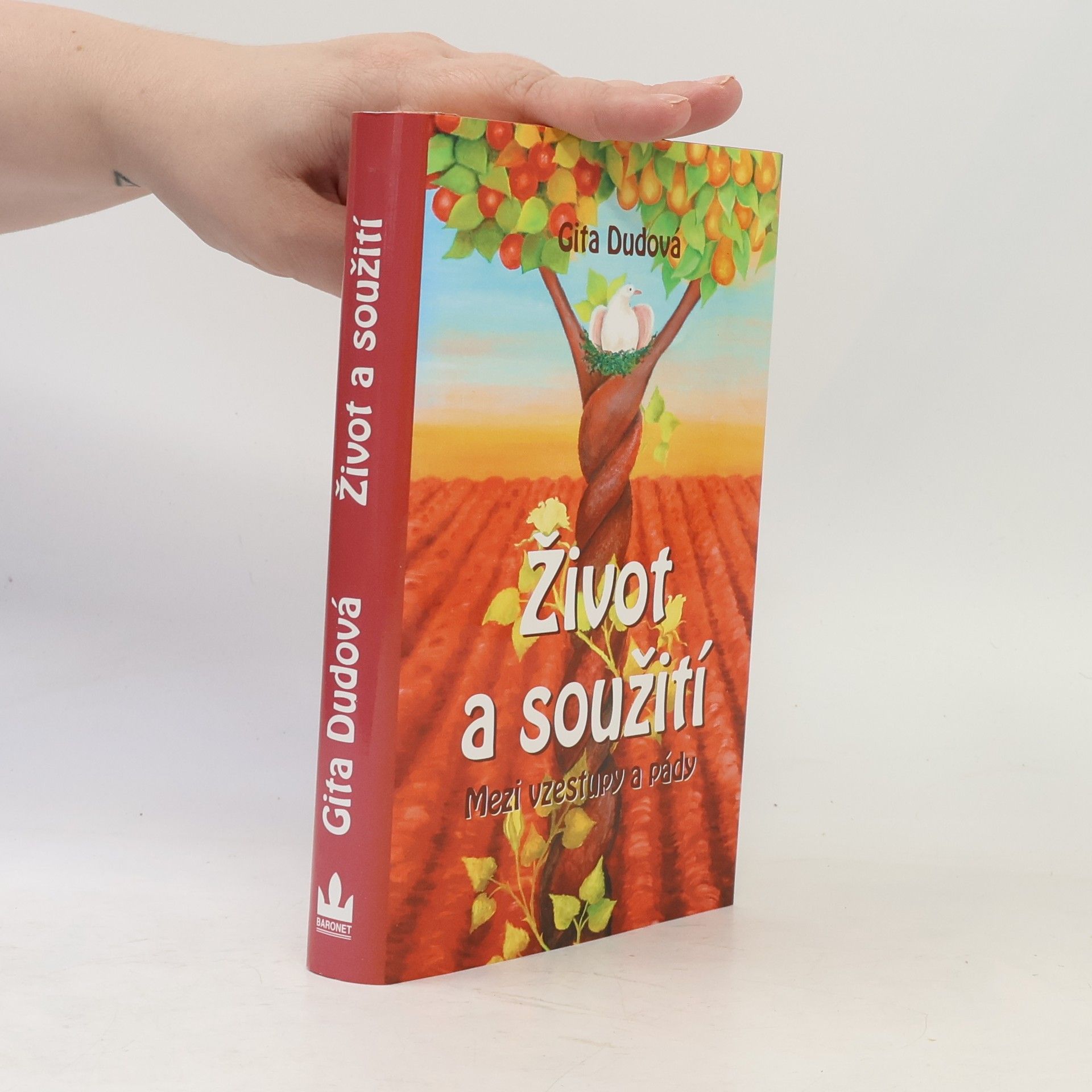 Gita Dudová Život a soužití : mezi vzestupy a pády