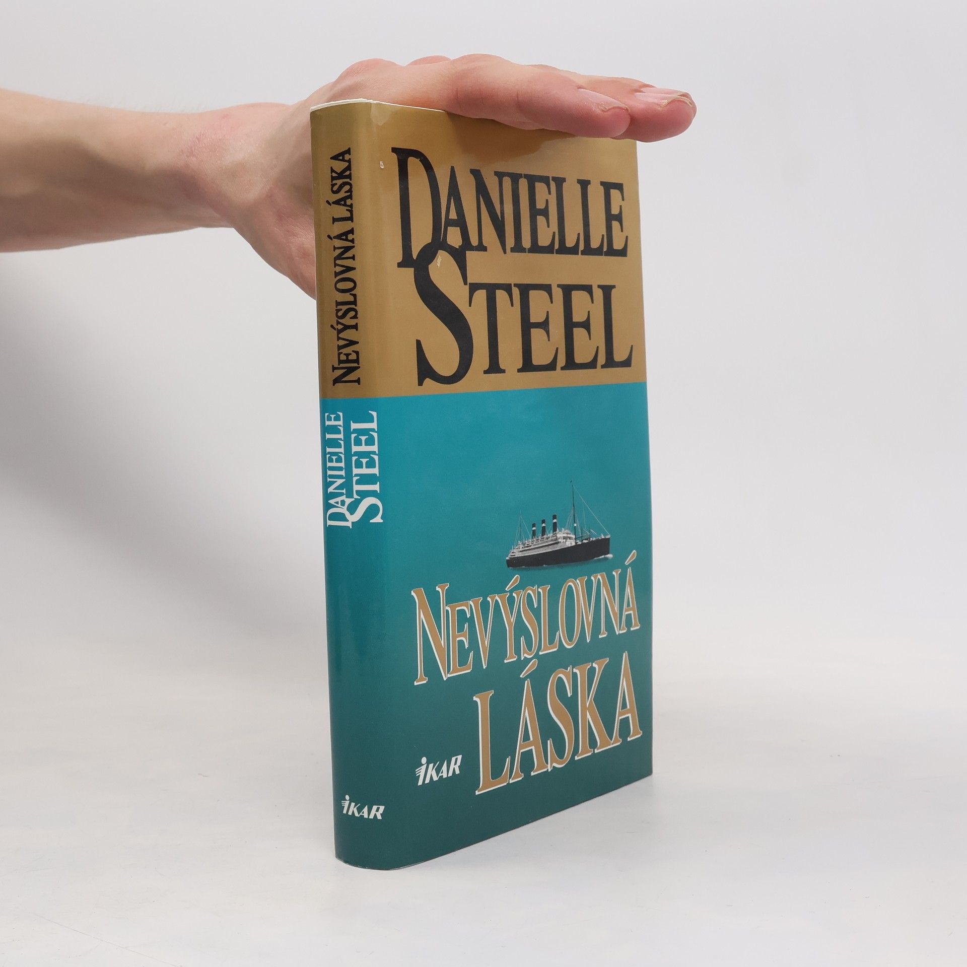 Danielle Steel Nevýslovná láska