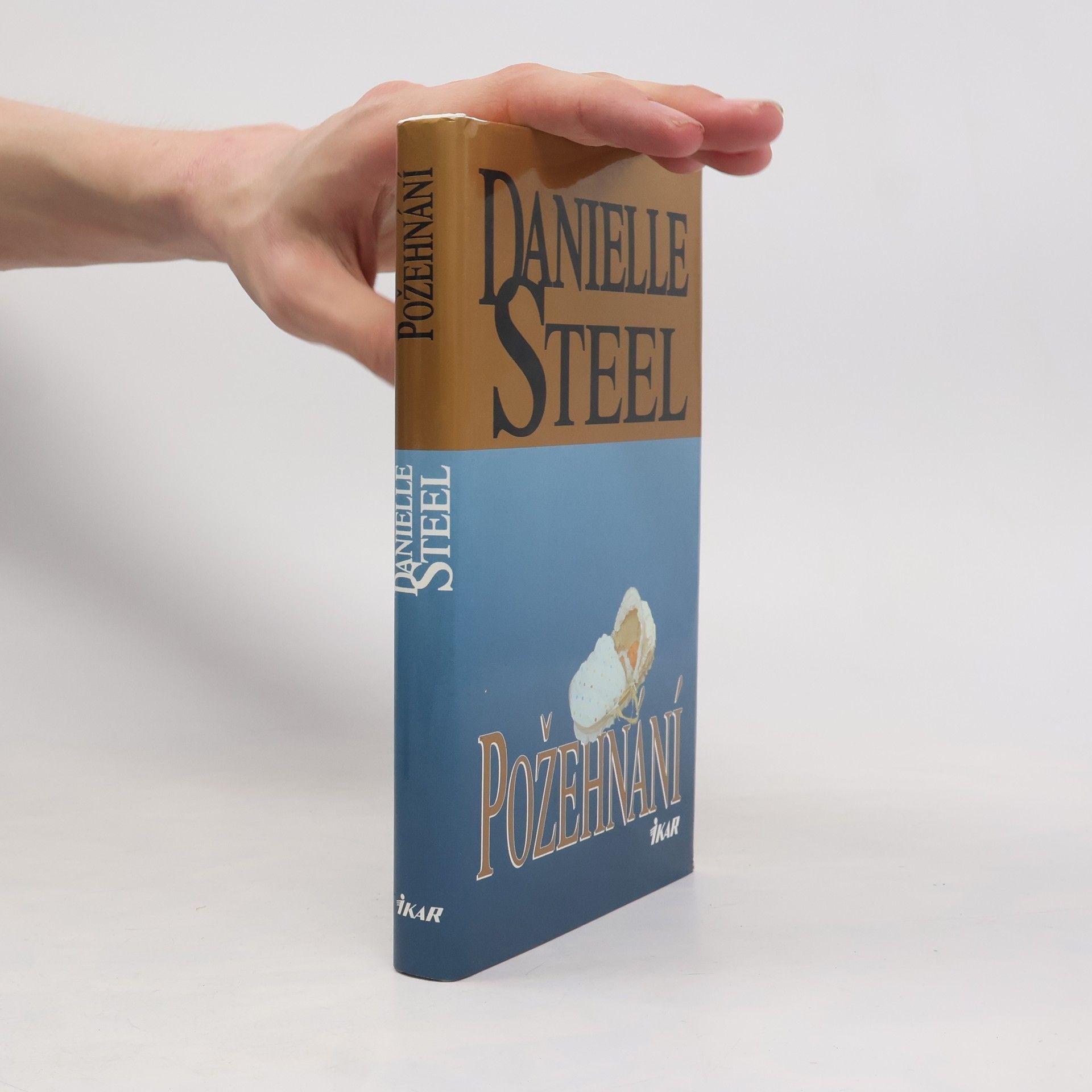 Danielle Steel Požehnání
