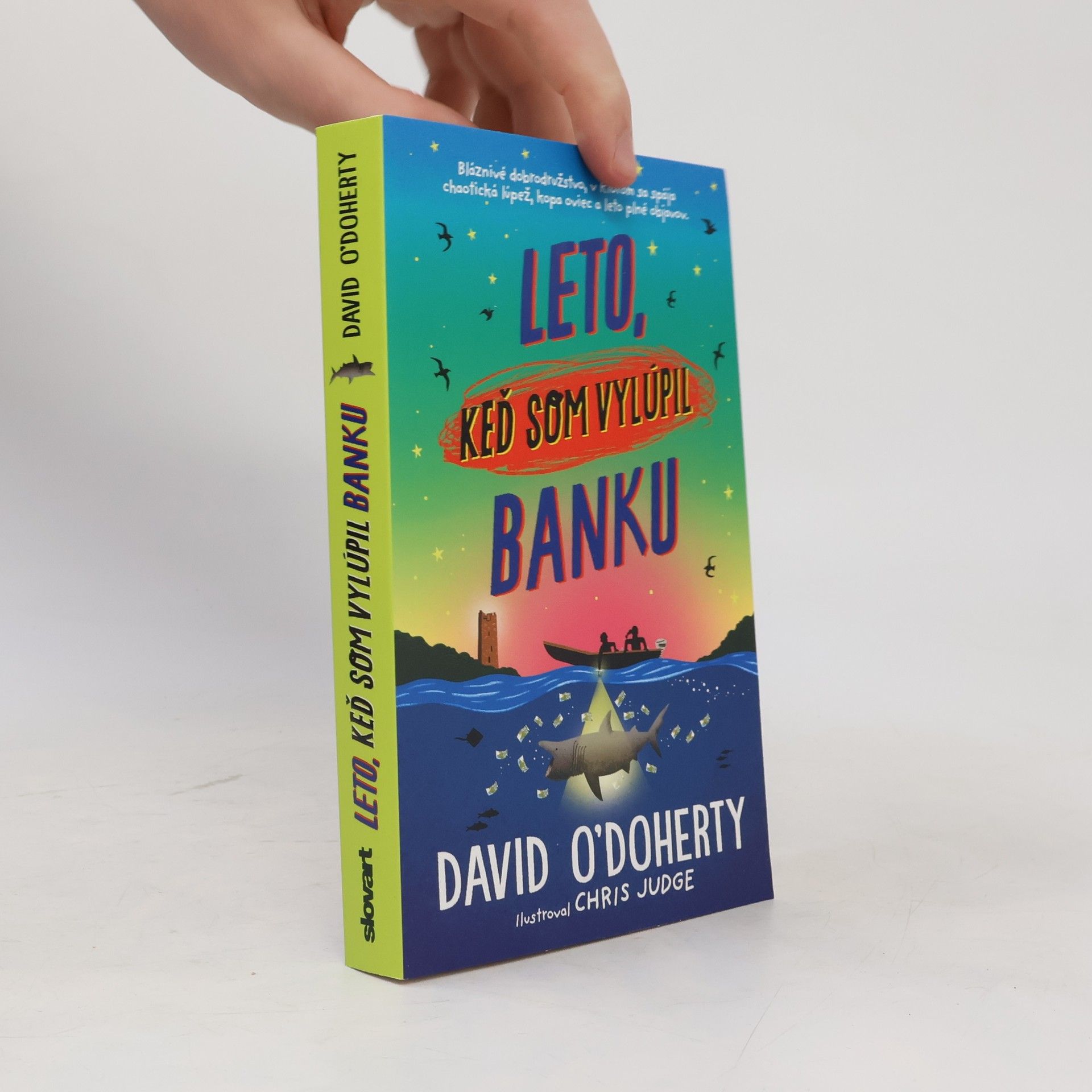 David O'Doherty Leto, keď som vylúpil banku