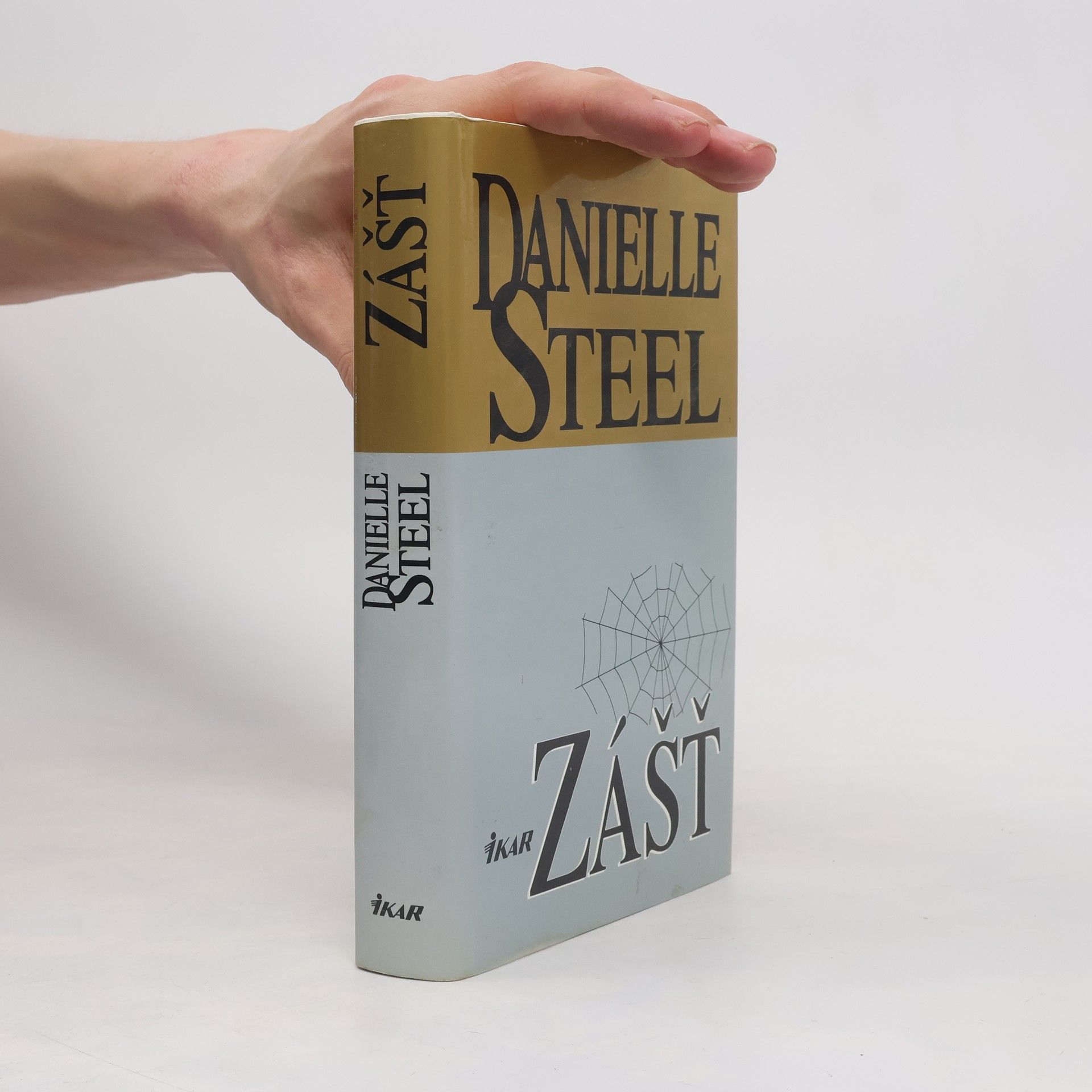 Danielle Steel Zášť