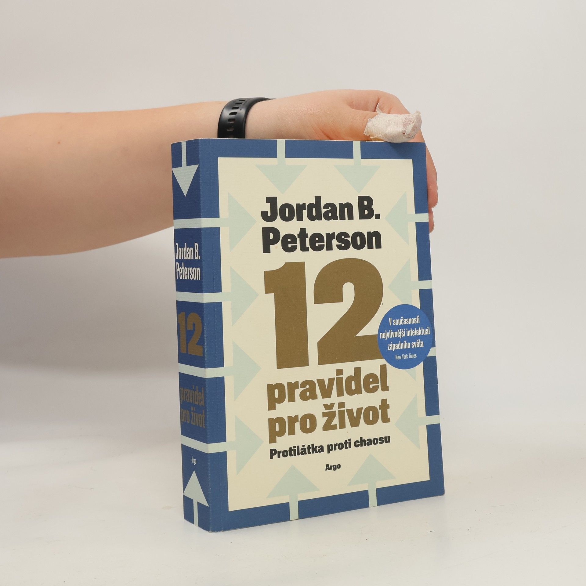 Jordan Peterson 12 pravidel pro život