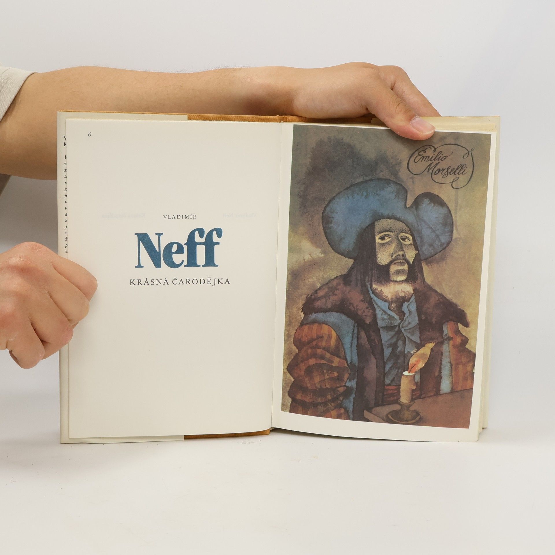 Vladimír Neff Krásná čarodějka