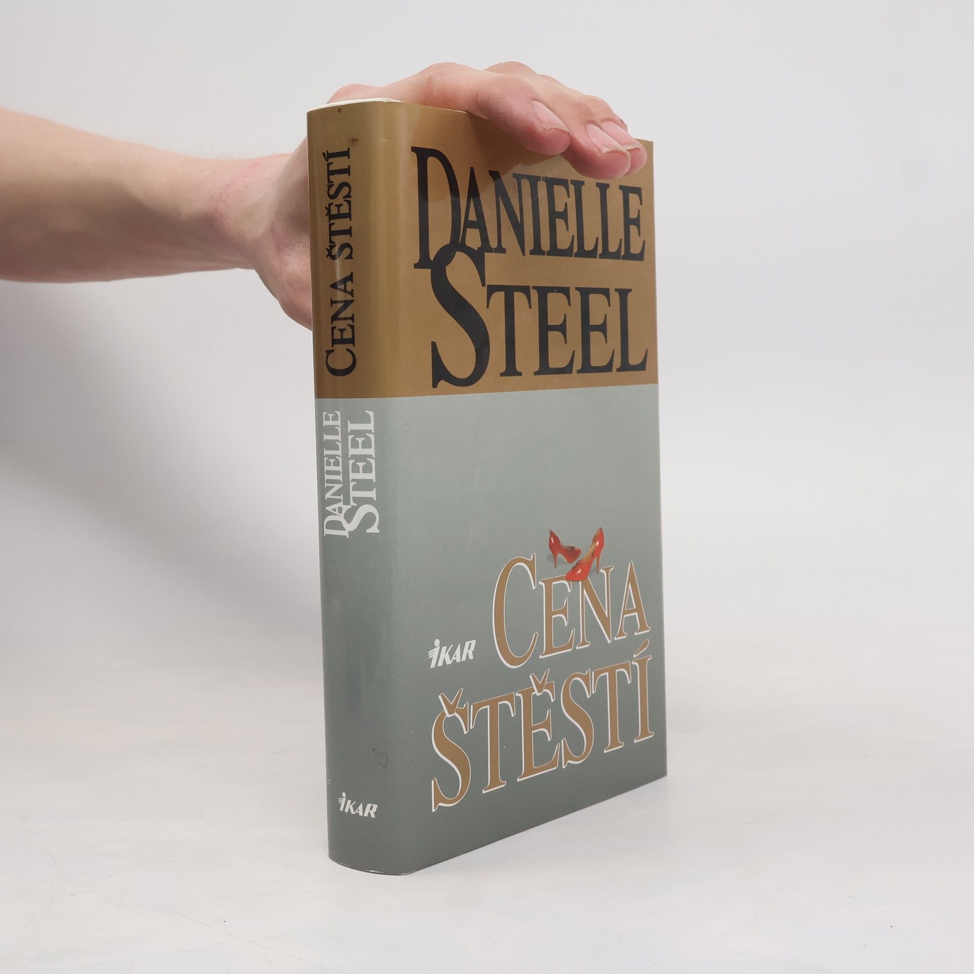 Danielle Steel Cena štěstí