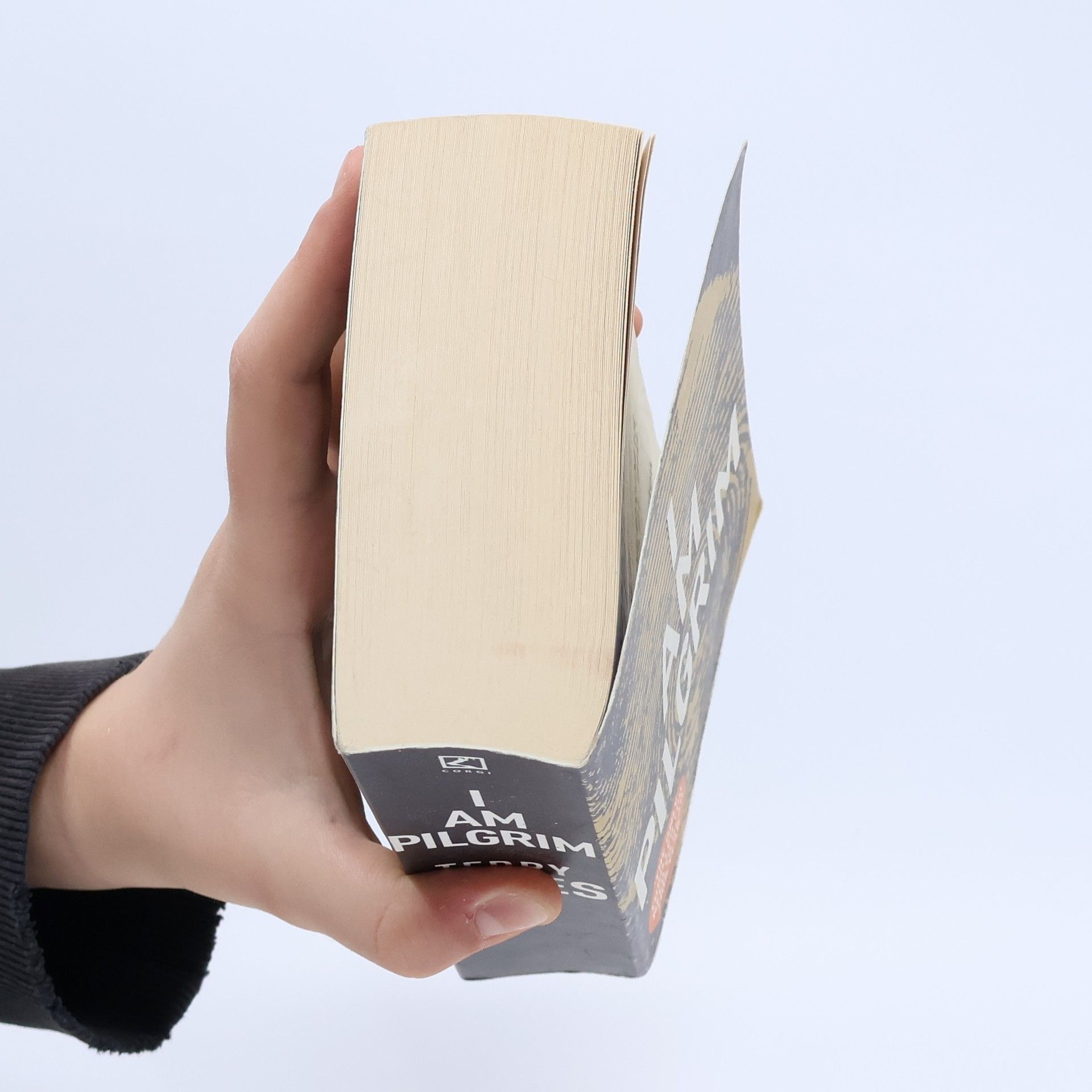 Terry Hayes I Am Pilgrim