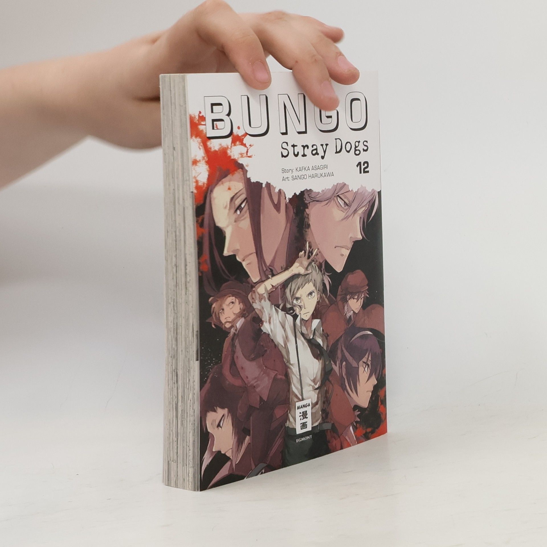 Kafka Asagiri Bungo Stray Dogs 12