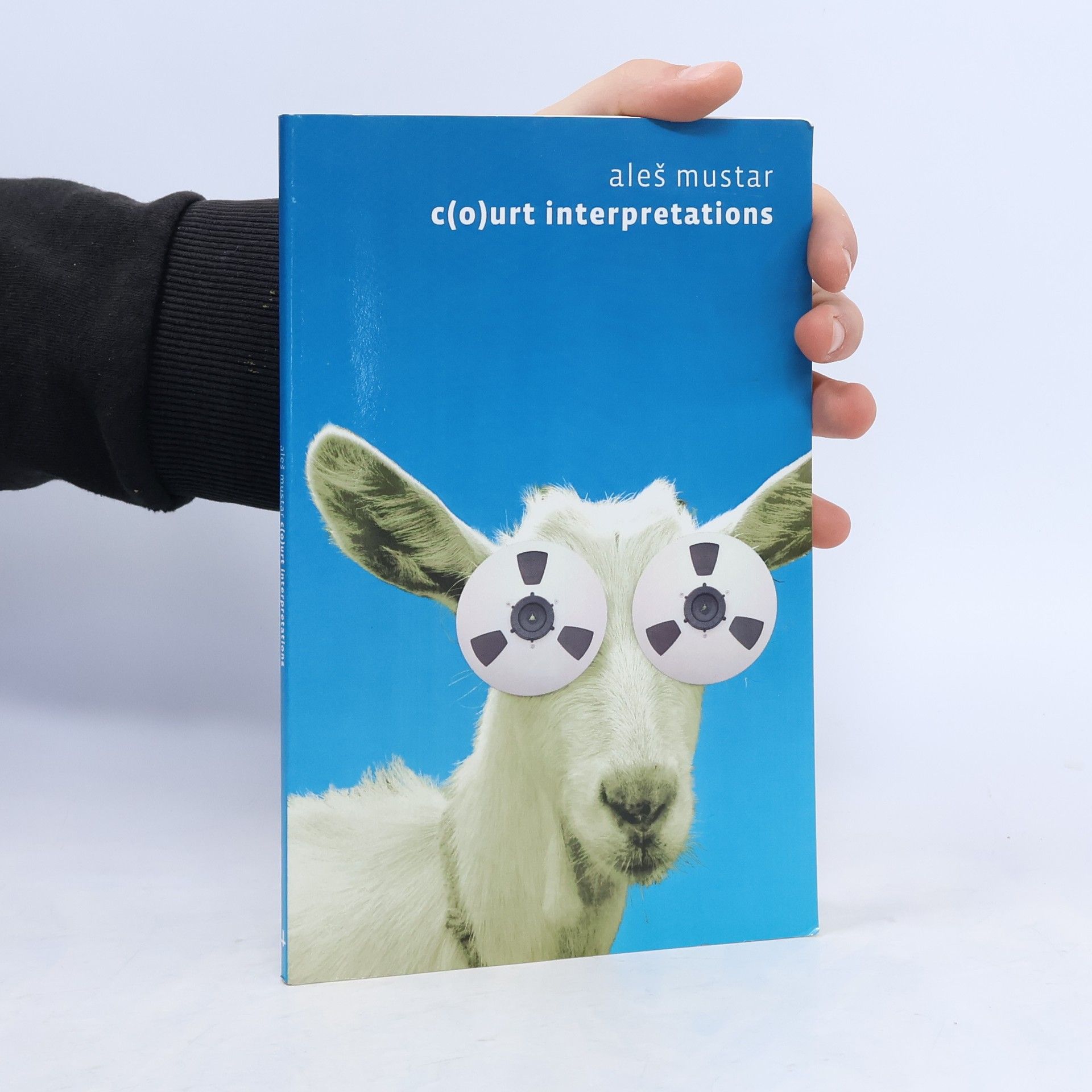 Aleš Mustar C(o)urt Interpretations