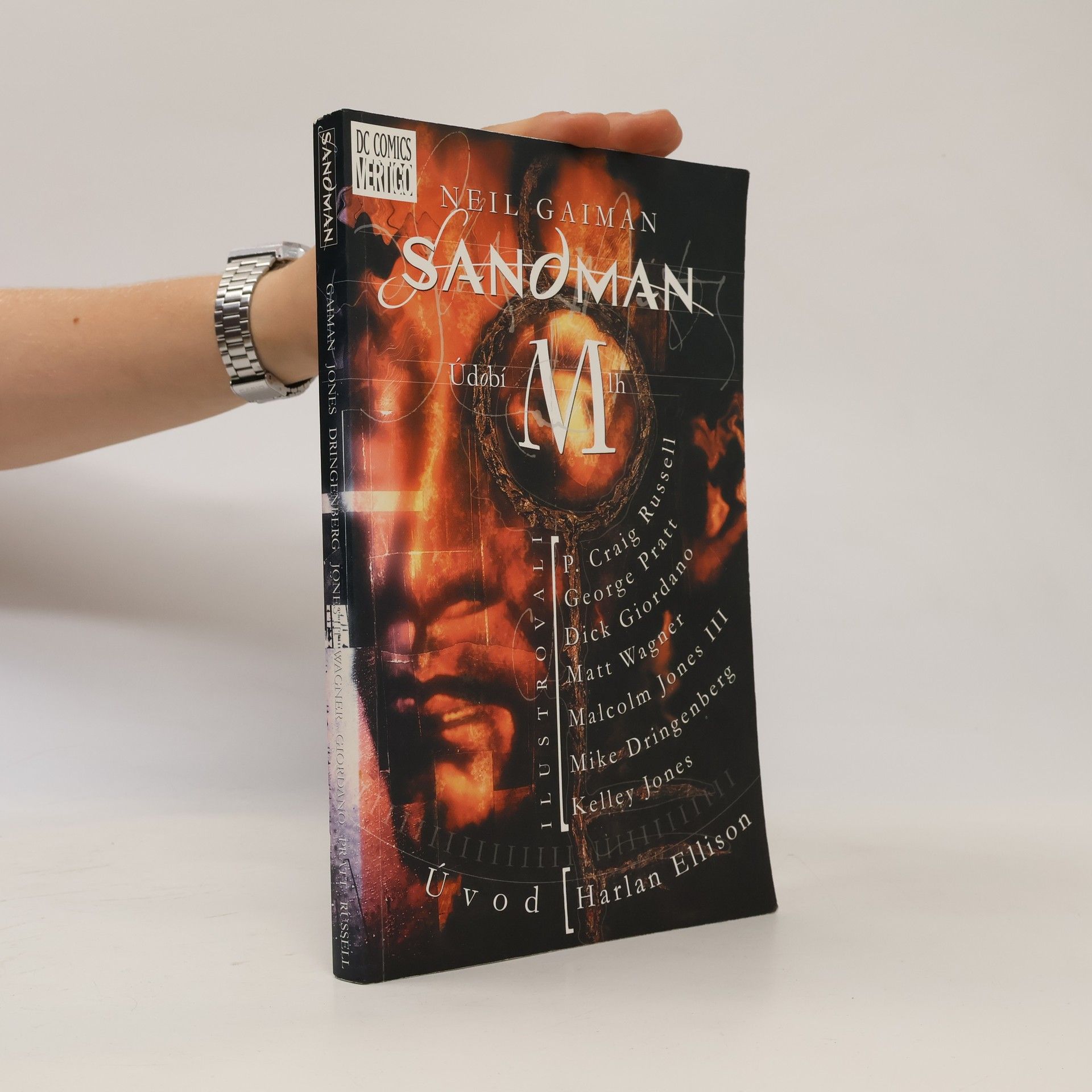 Neil Gaiman Sandman. Údobí mlh