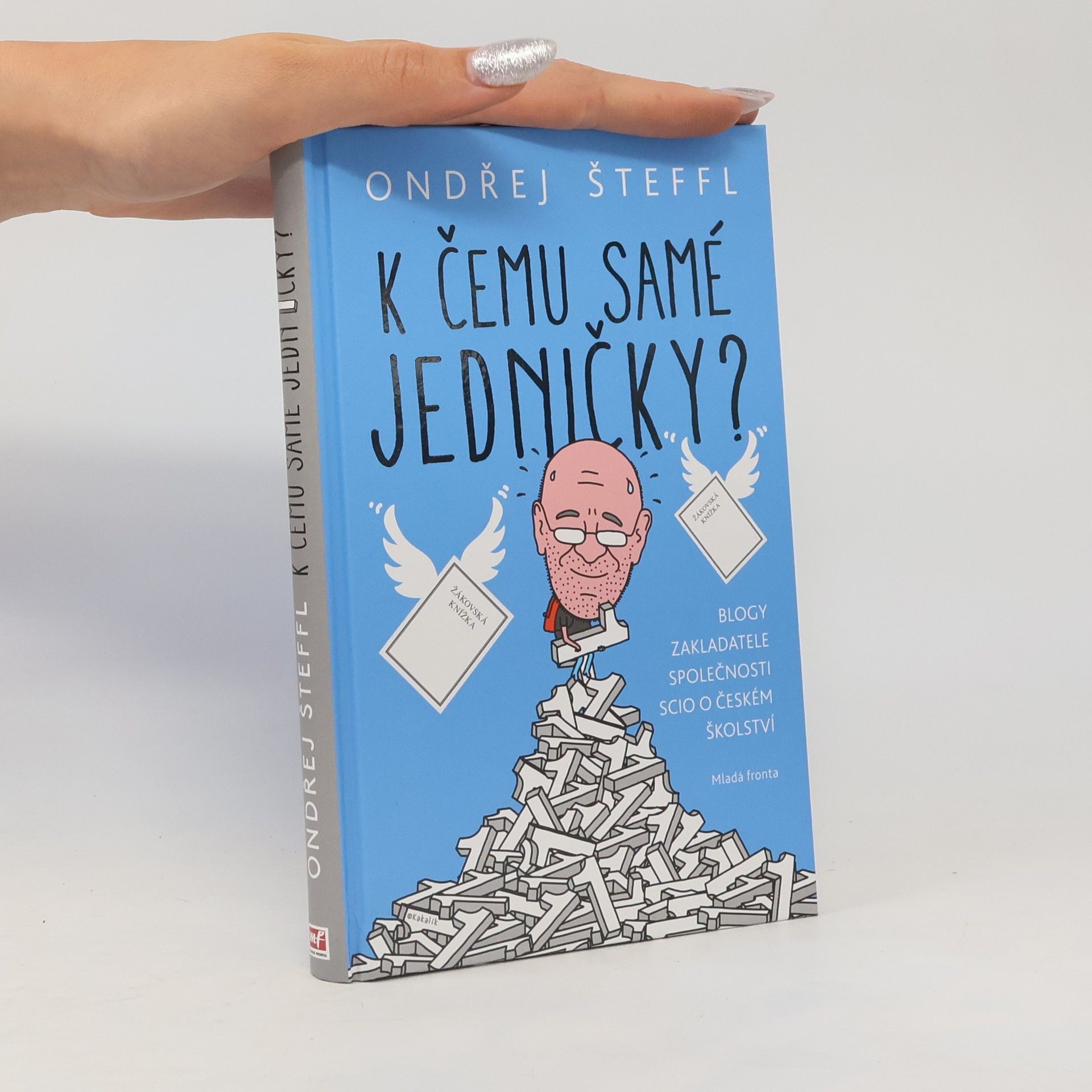 Ondřej Šteffl K čemu samé jedničky?