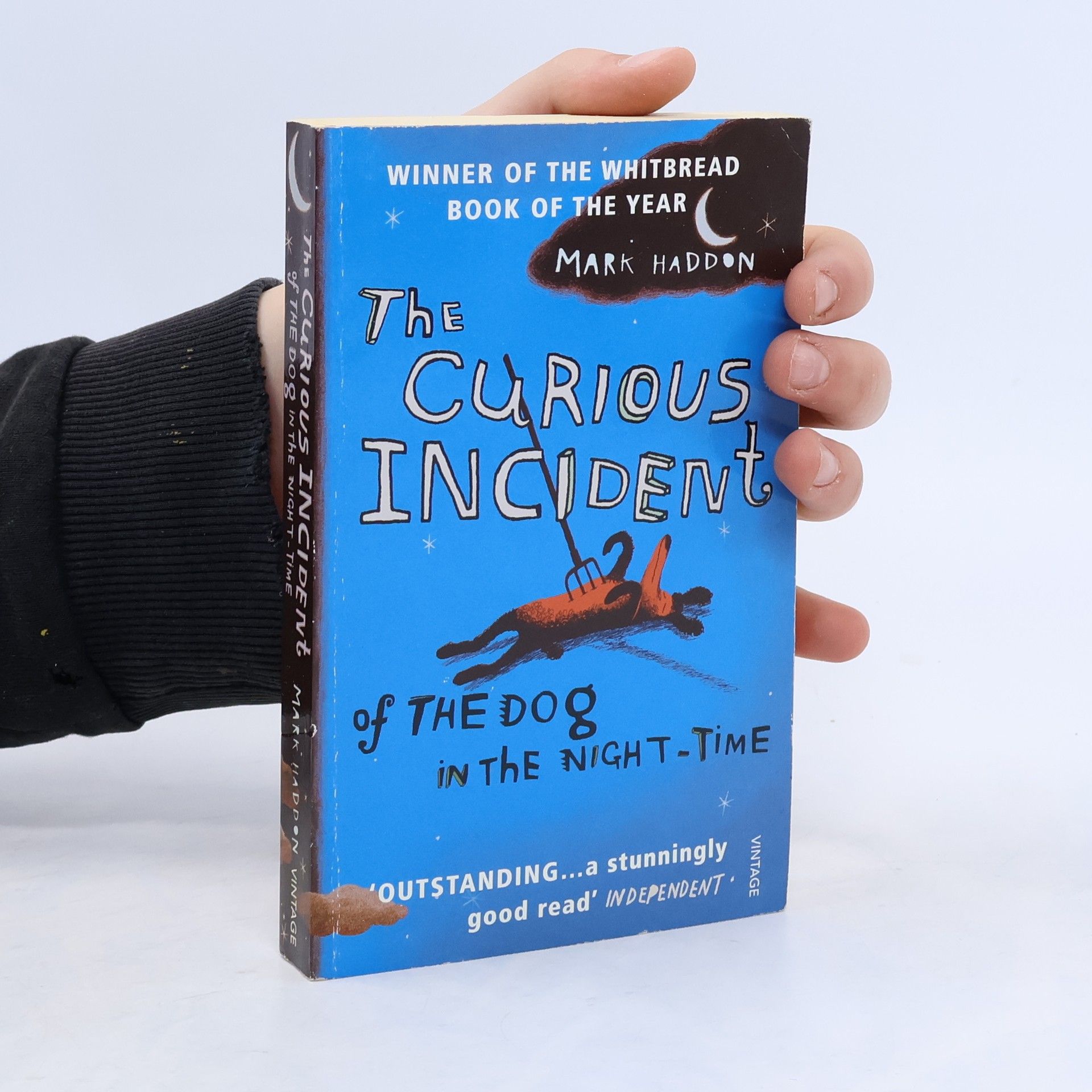 Mark Haddon The Curious Incident of The Dog in The Night-Time