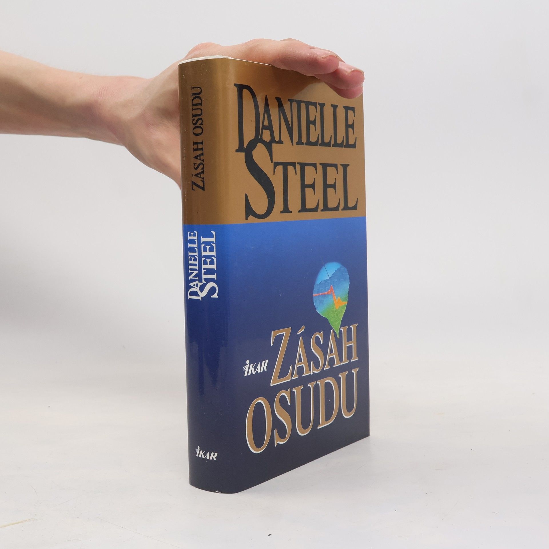 Danielle Steel Zásah osudu
