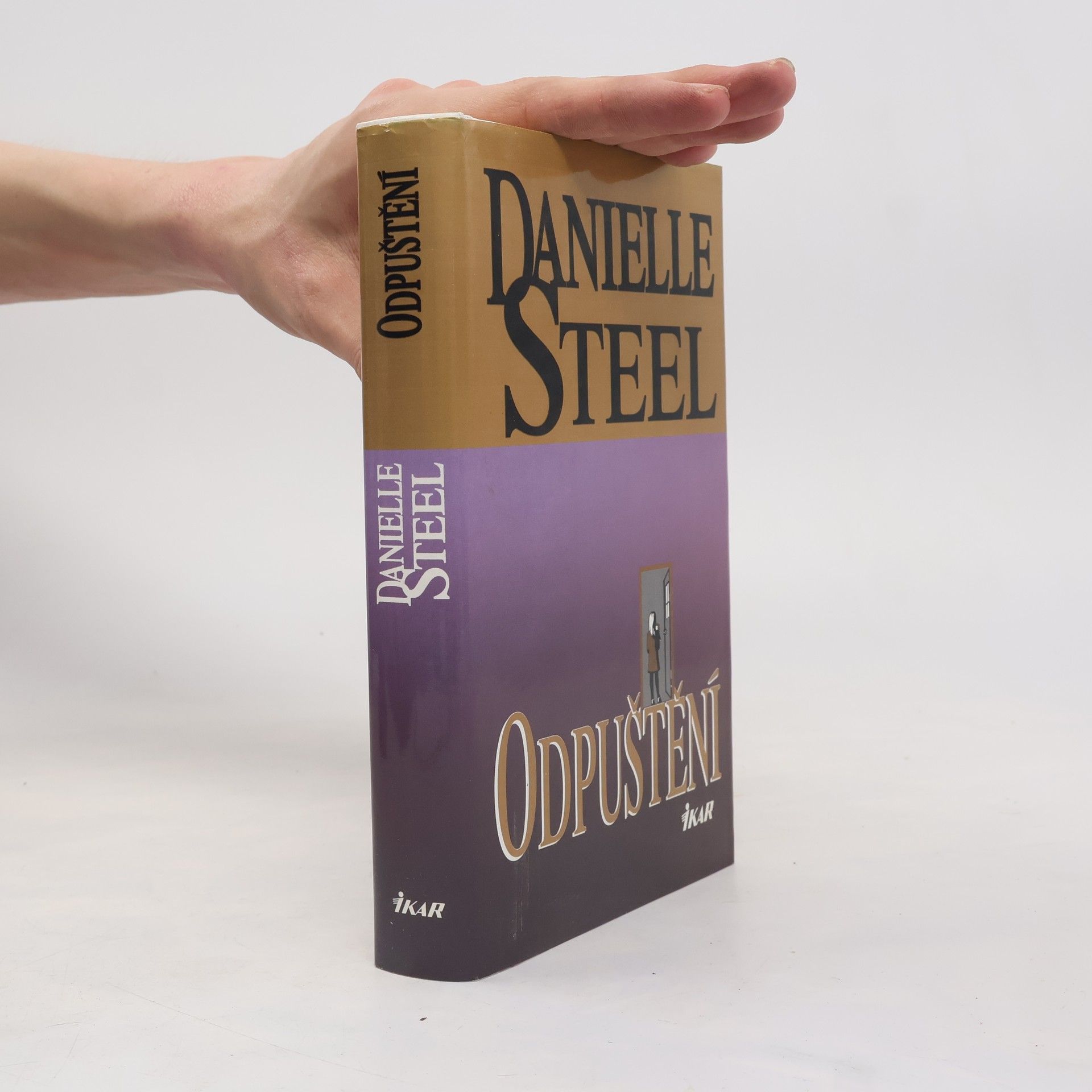 Danielle Steel Odpuštění