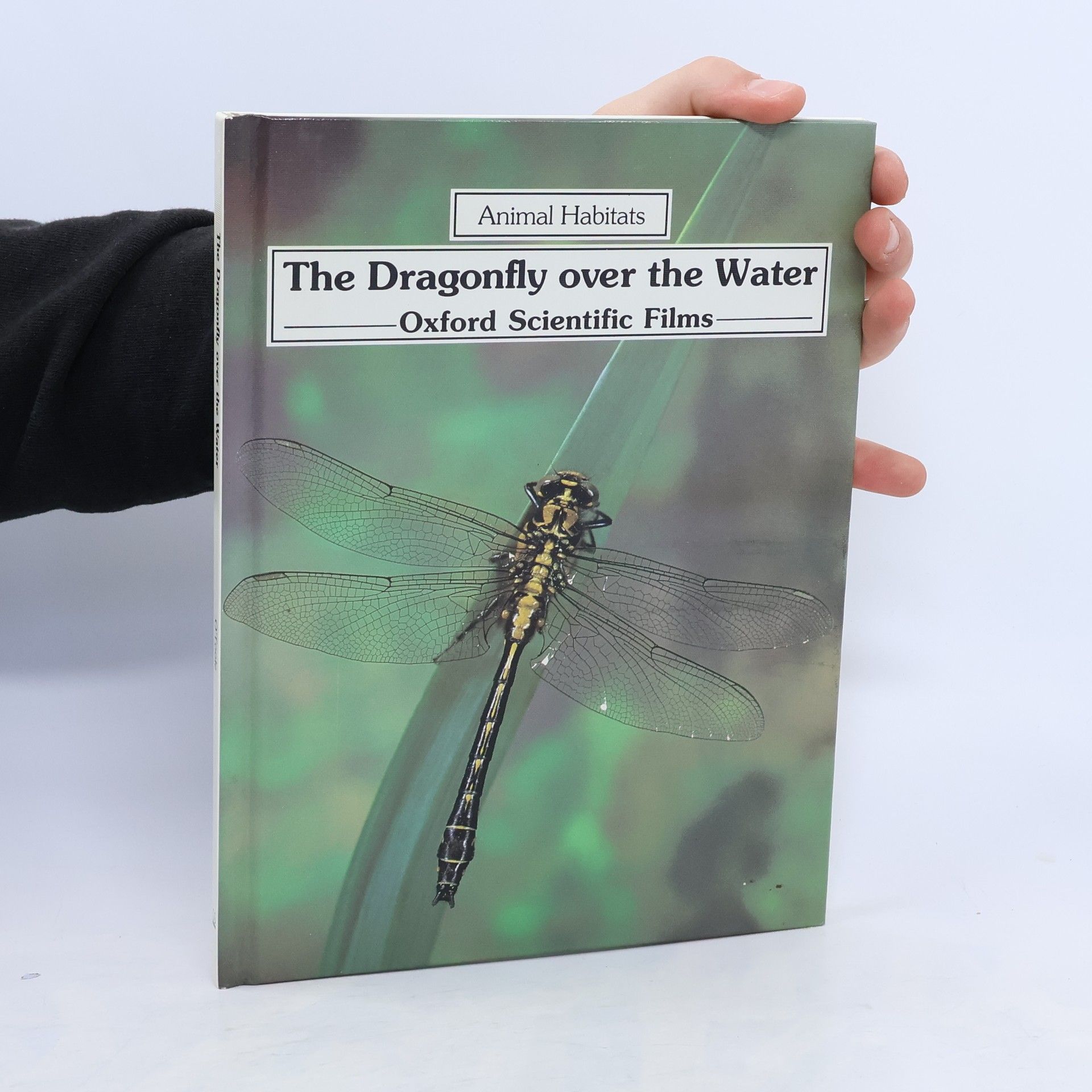 Christopher OToole The Dragonfly Over the Water