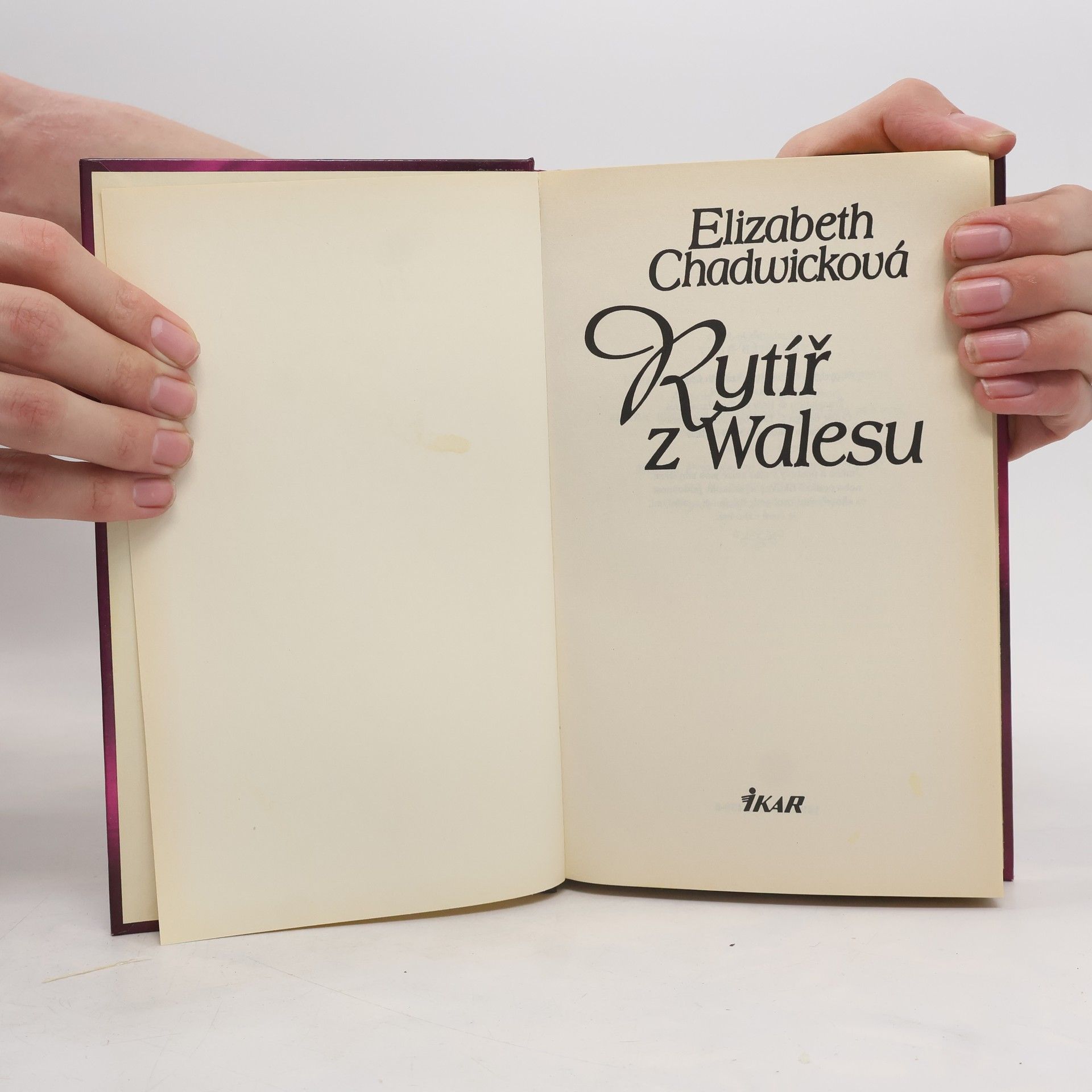 Elizabeth Chadwick Rytíř z Walesu