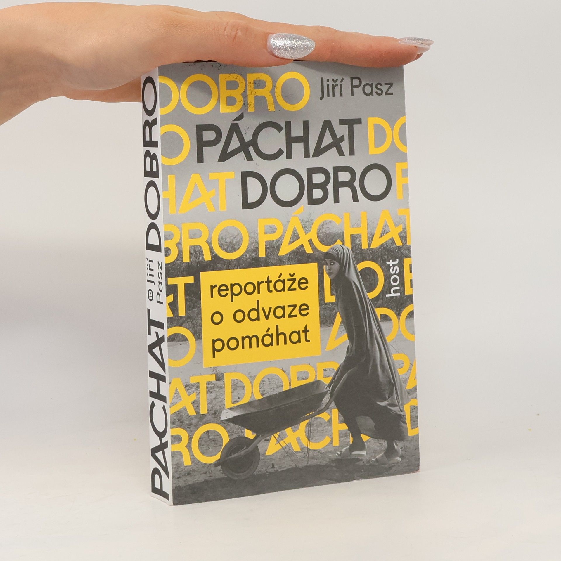Adéla Plechatá Páchat dobro - Reportáže o odvaze pomáhat