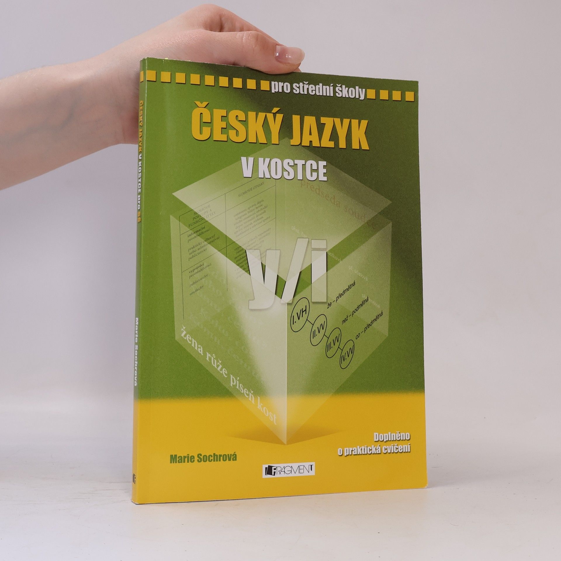 Marie Sochrová Český jazyk v kostce : pro střední školy