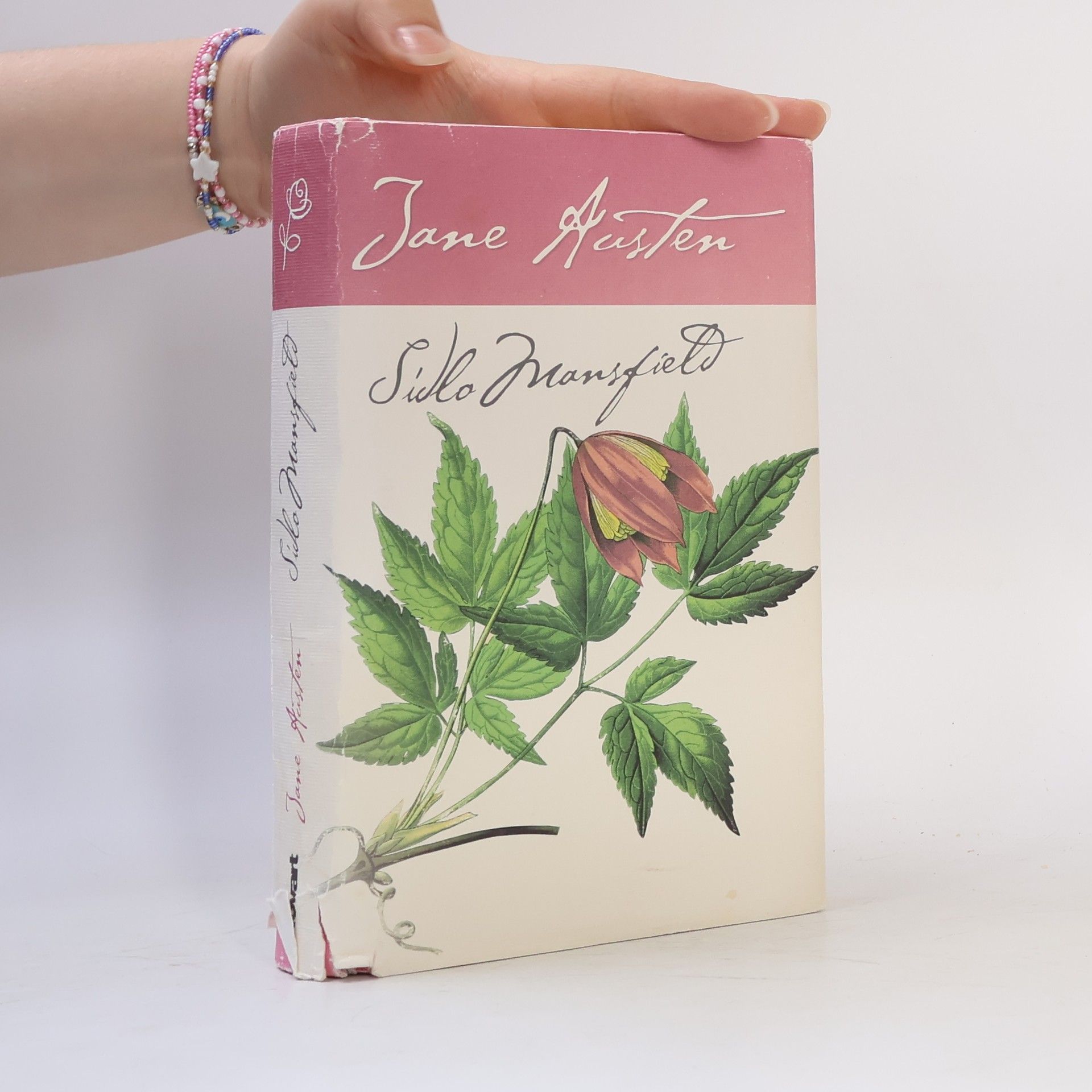 Jane Austen Sídlo Mansfield