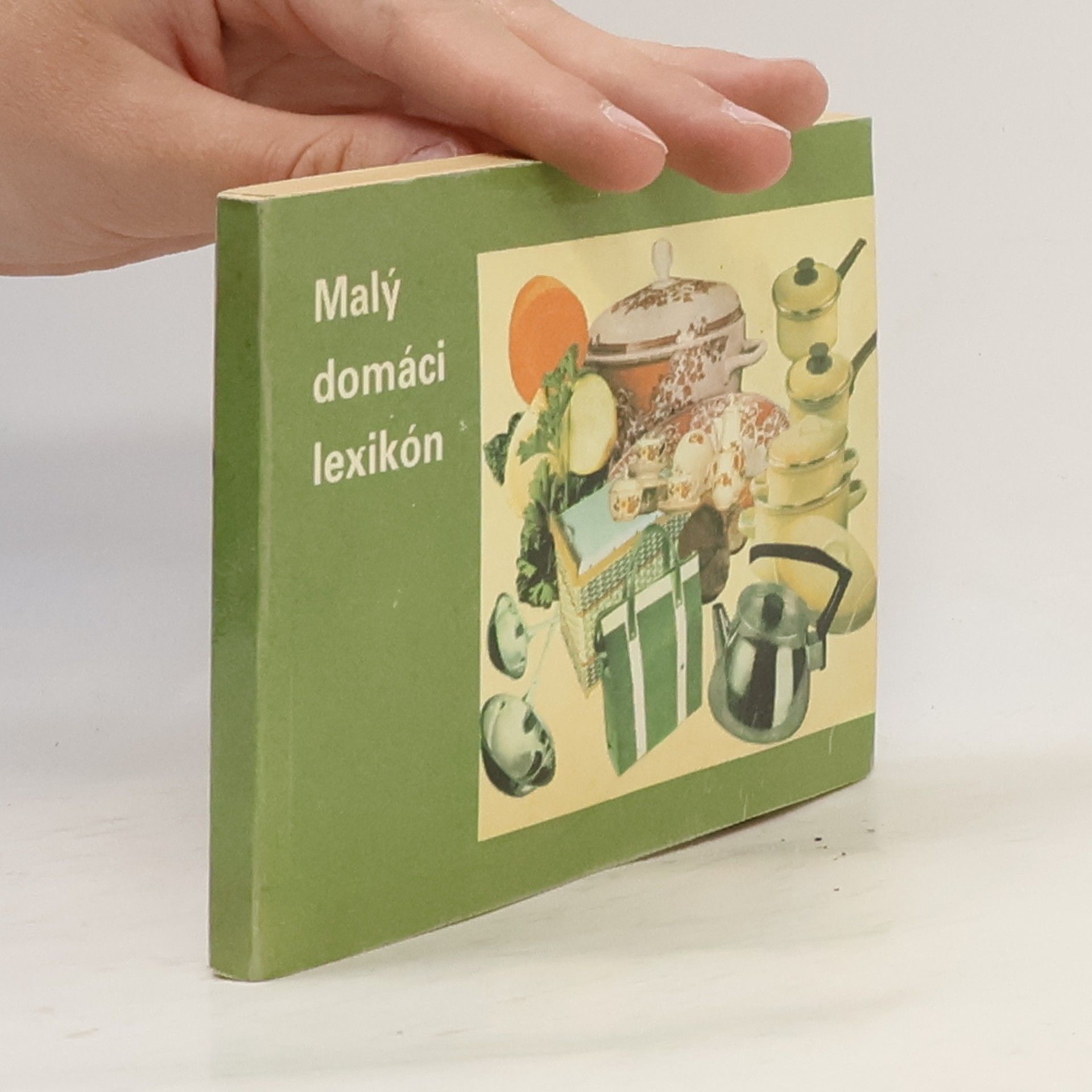 Jiří Bílek Malý domáci lexikon