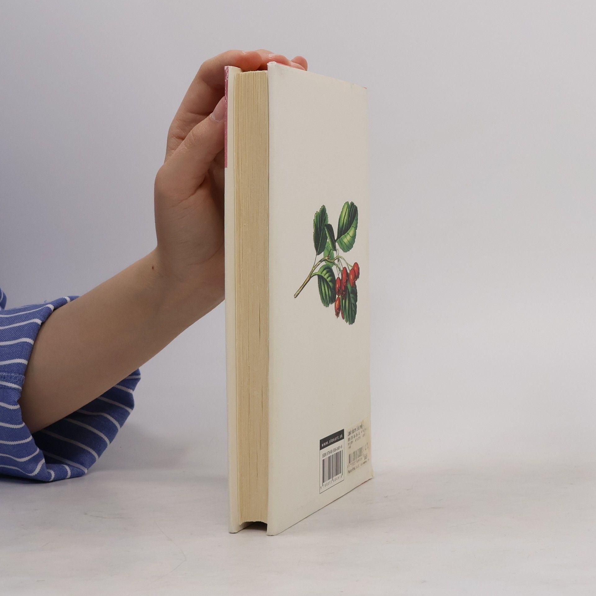 Jane Austen Láska slečny Elliotovej