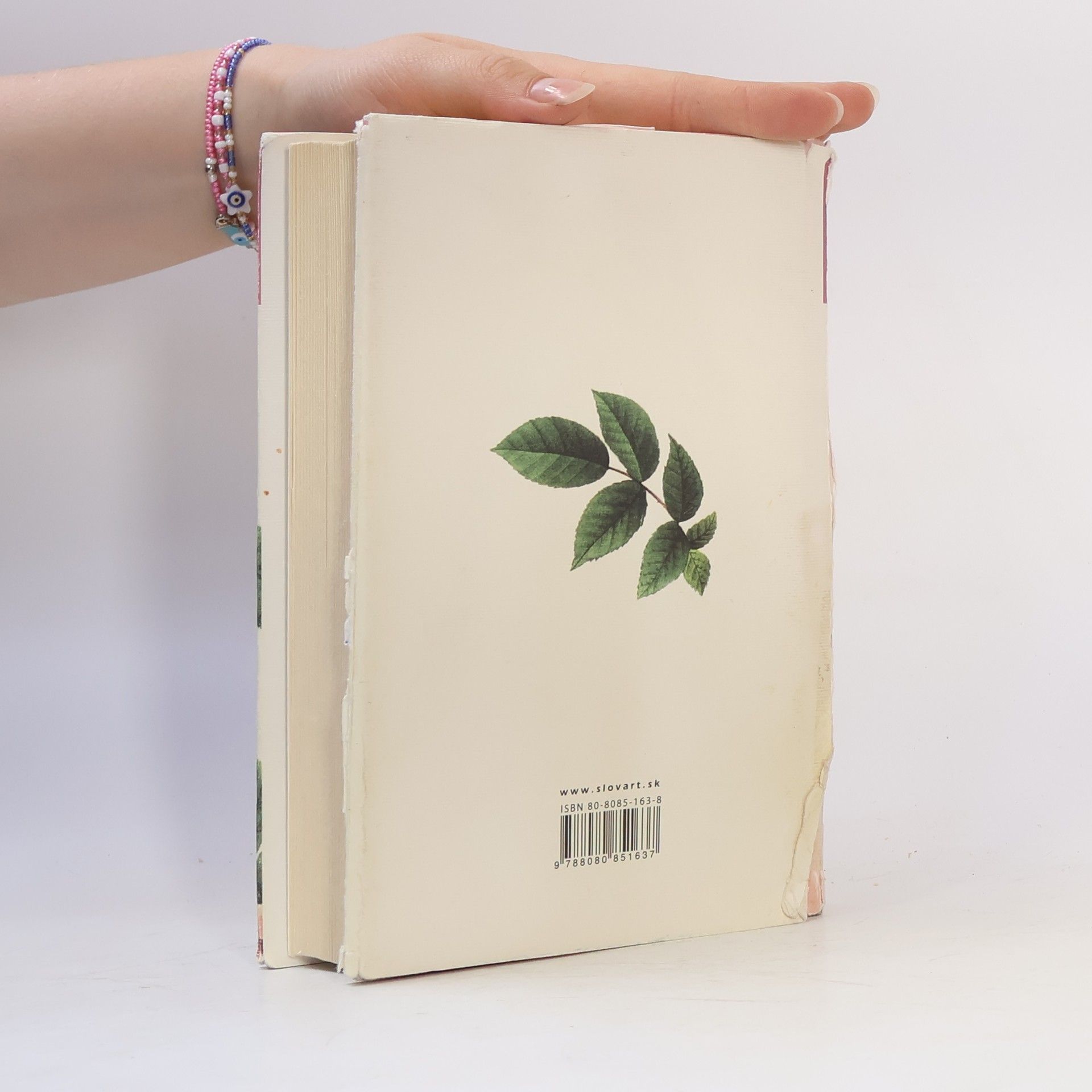 Jane Austen Pýcha a predsudok