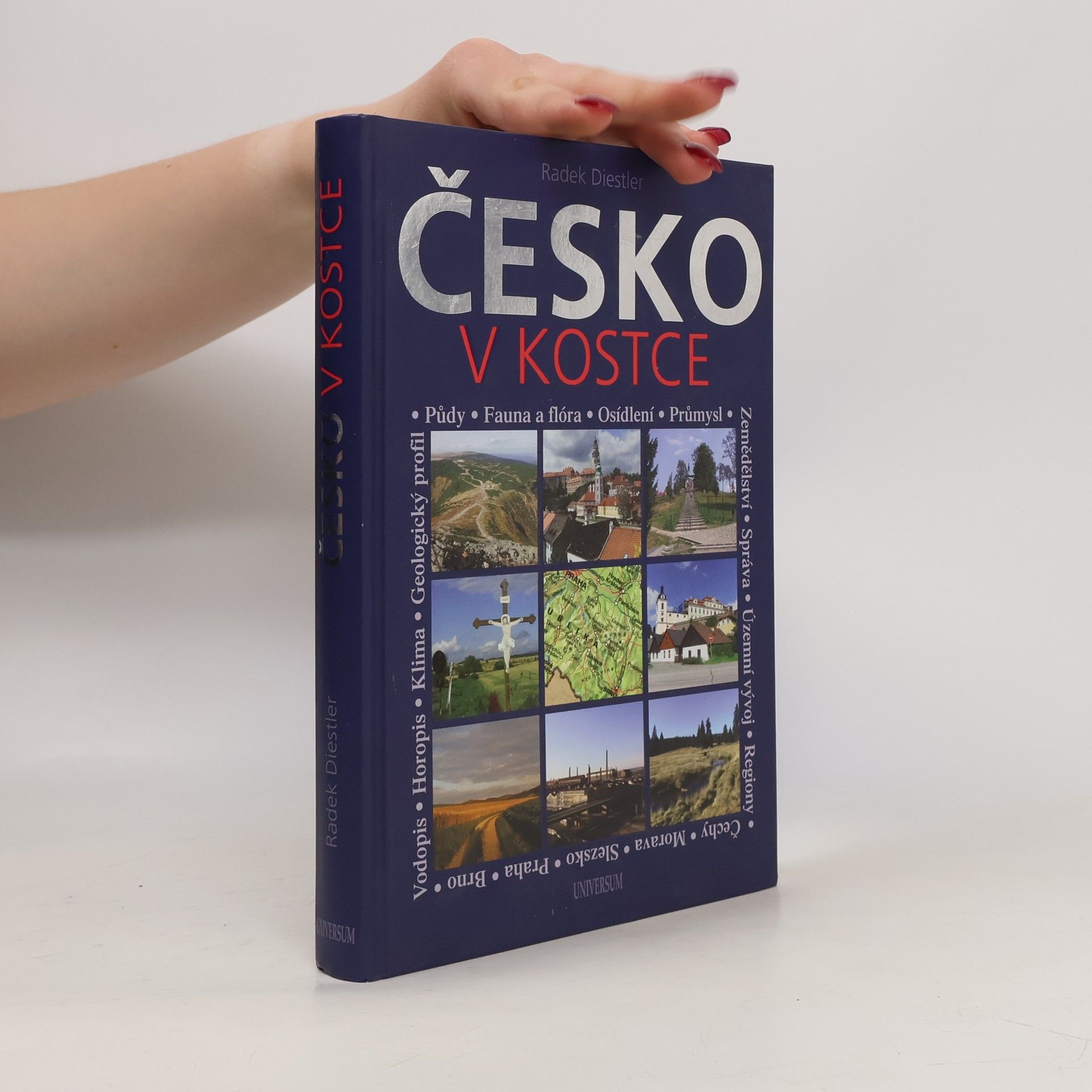 Radek Diestler Česko v kostce : netradiční vlastivěda pro každého