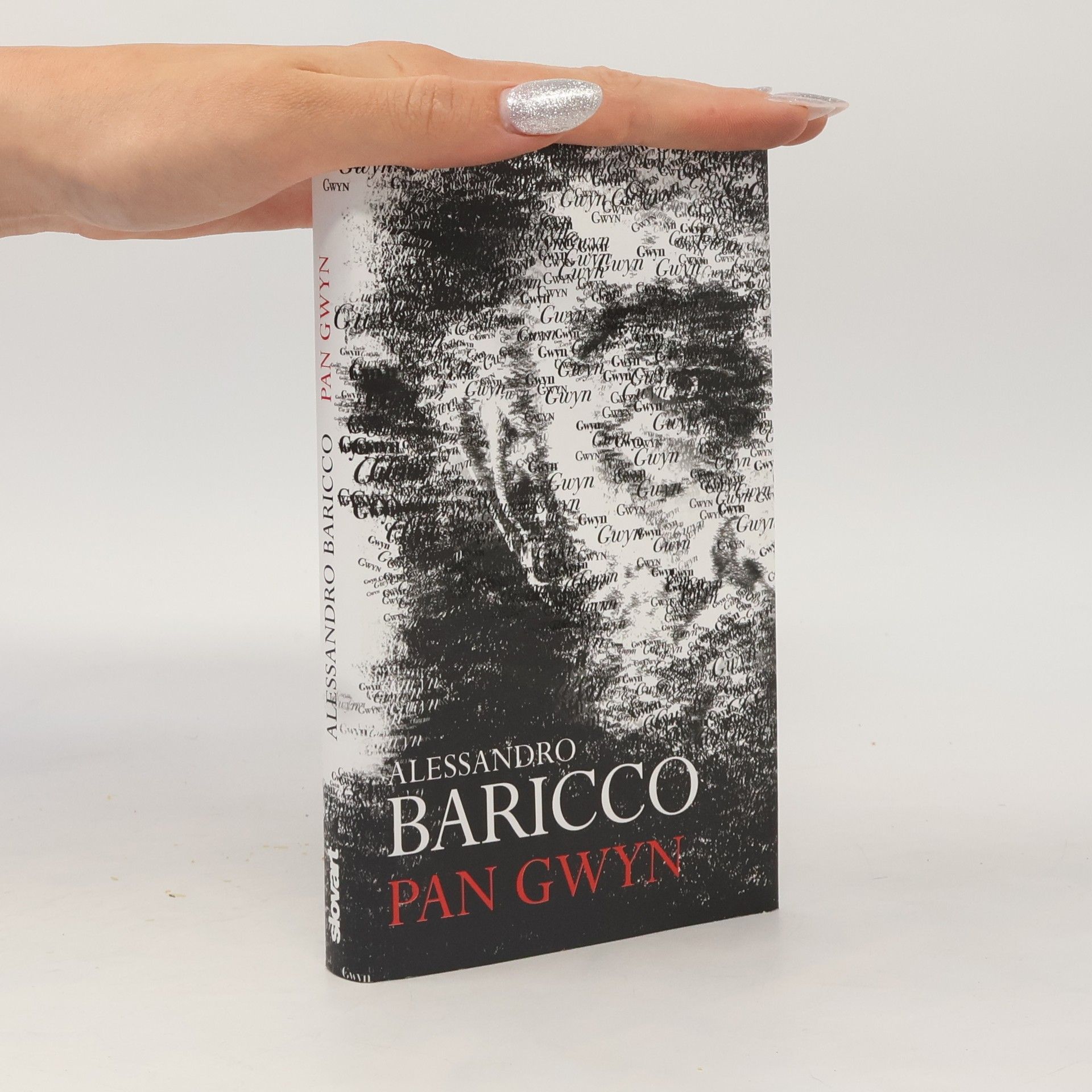 Alessandro Baricco Pan Gwyn