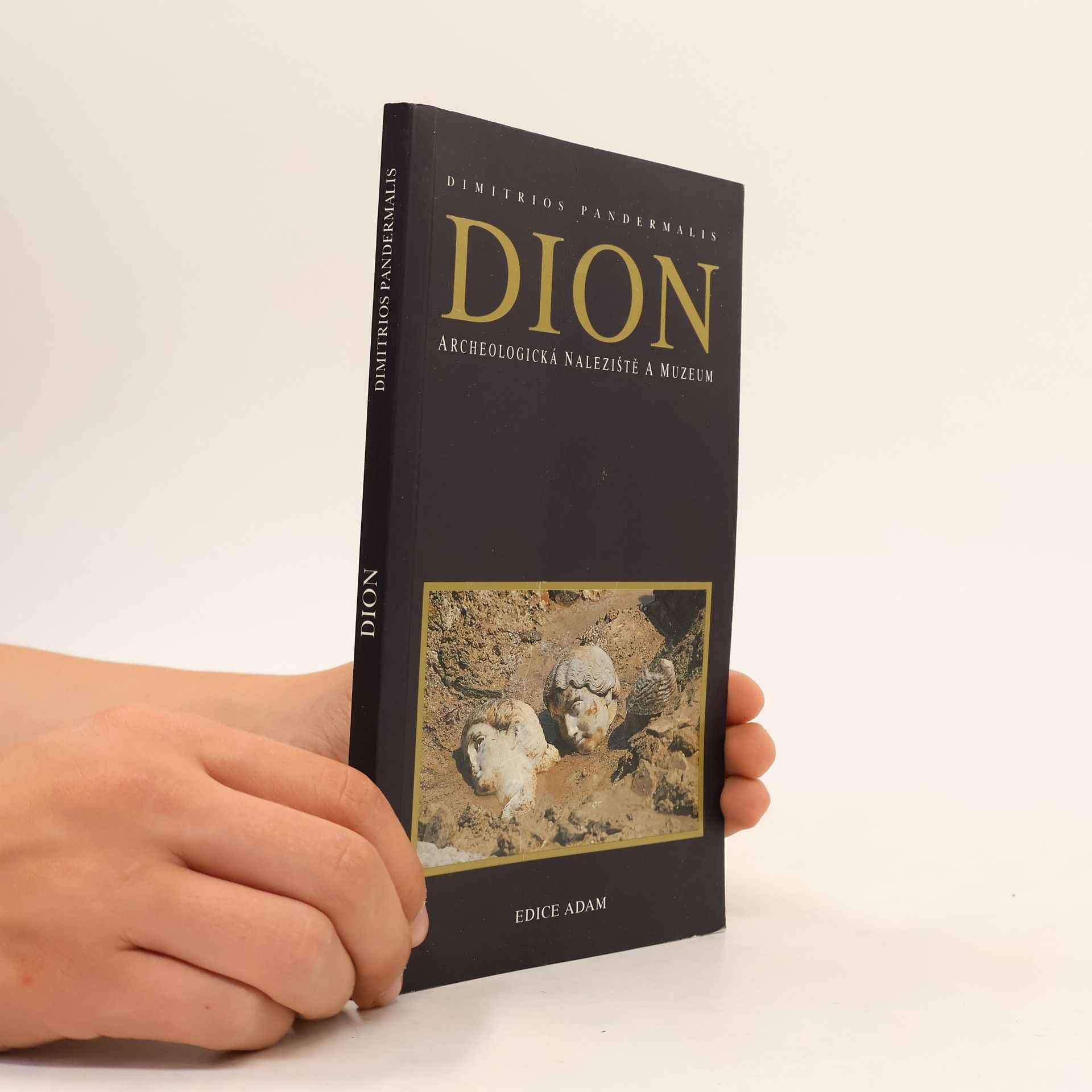 Dimitrios Pandermalis Dion archeologická naleziště a muzeum