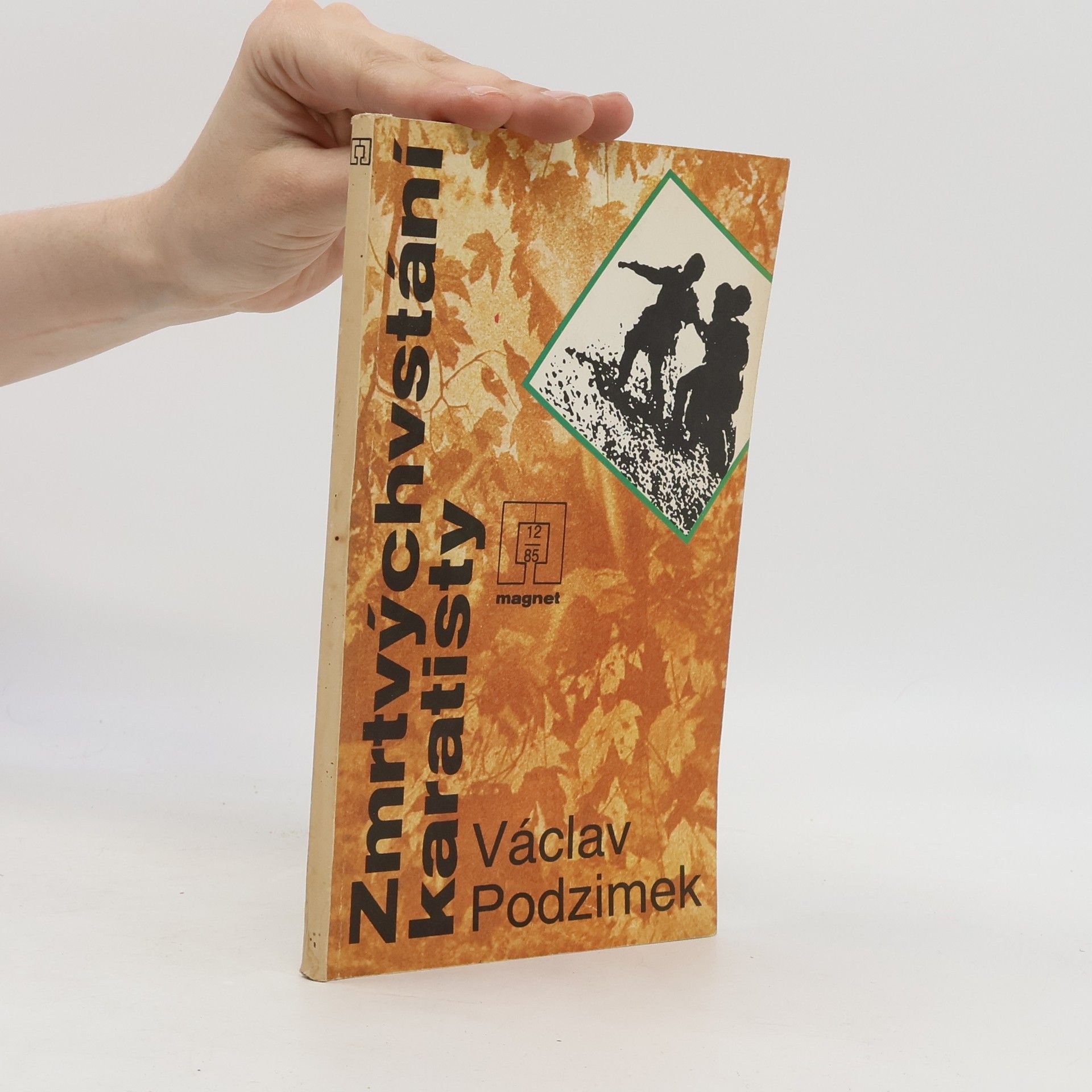 Václav Podzimek Zmrtvýchvstání karatisty