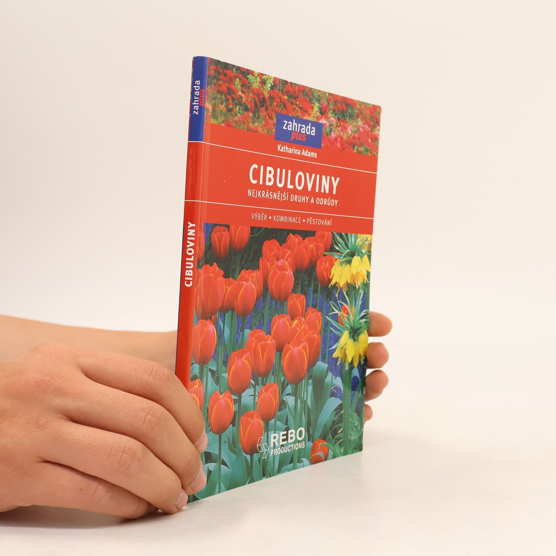 Katharina Adams Cibuloviny - nejkrásnější druhy a odrůdy