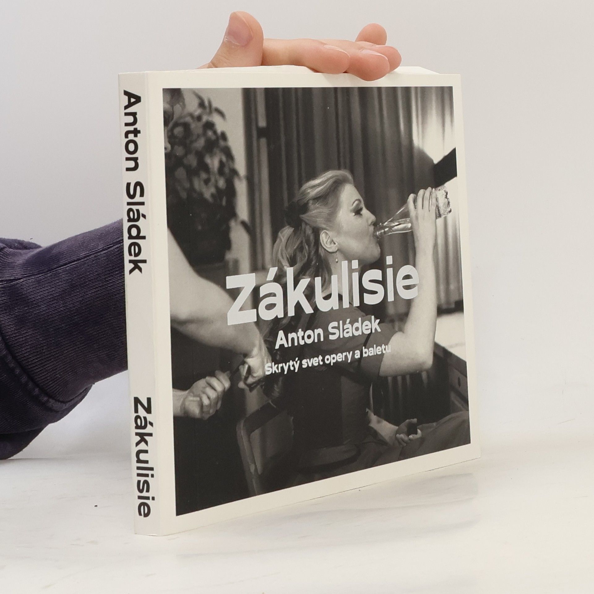 Anton Sládek Zákulisie