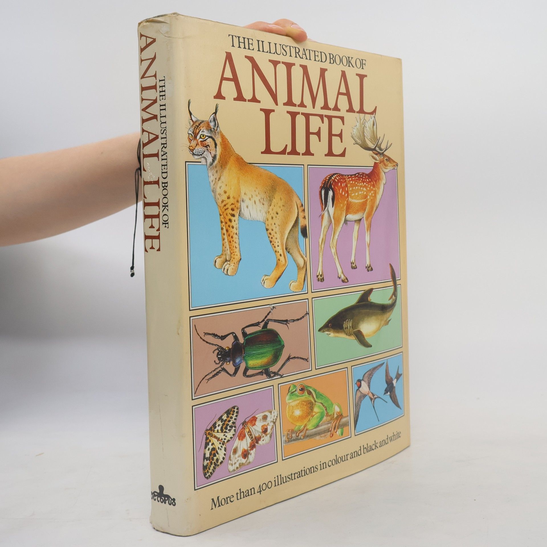 Jana Horáčková The Illustrated Book of Animal Life