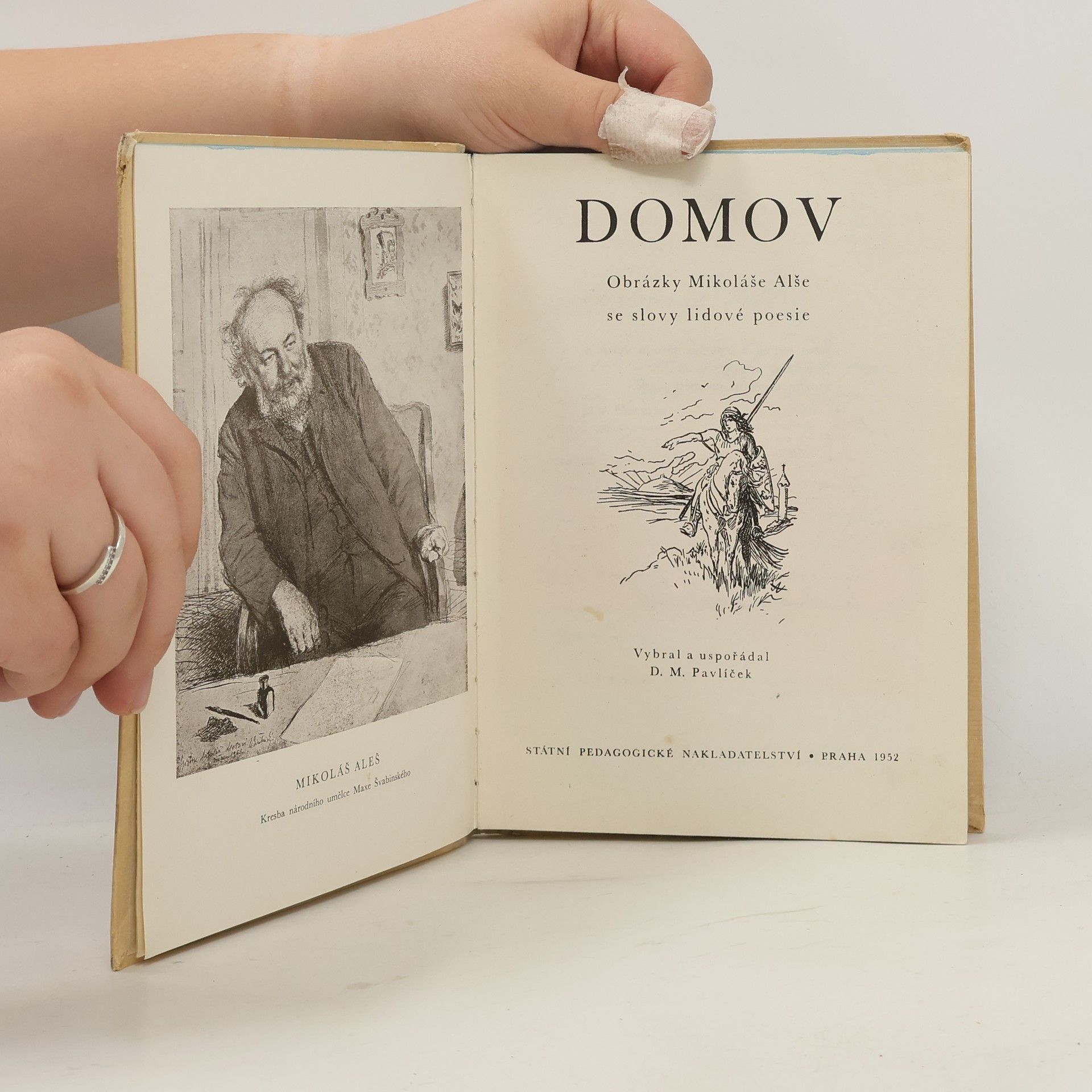 Mikoláš Aleš Domov