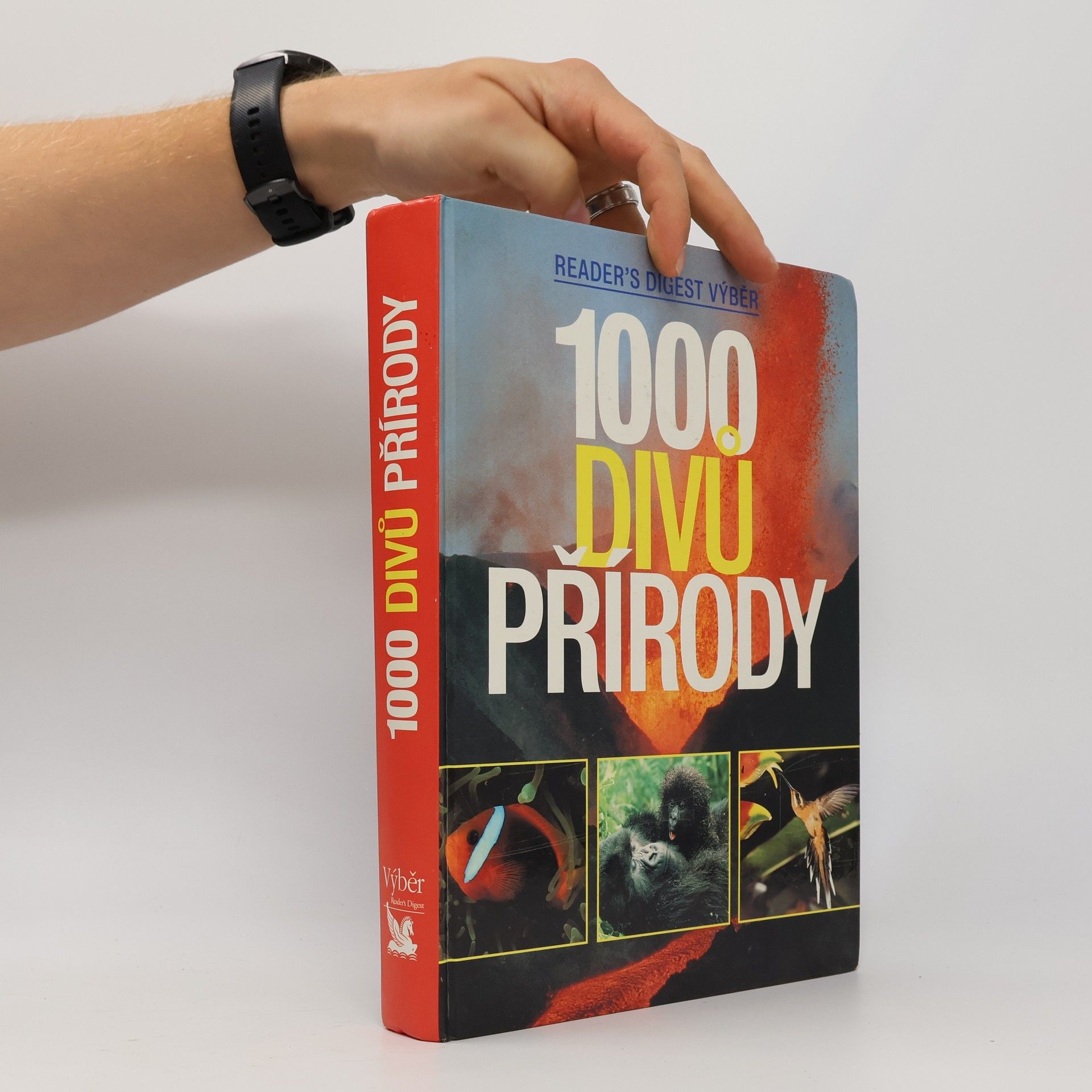 Autorenkollektiv 1000 divů přírody