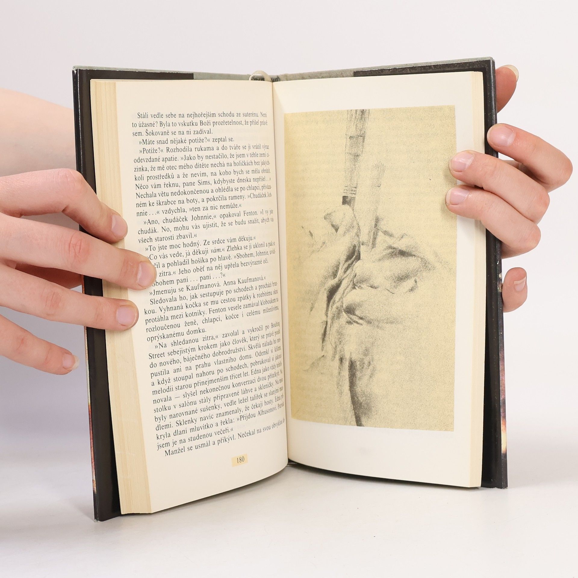 Daphne du Maurier Ptáci a jiné povídky