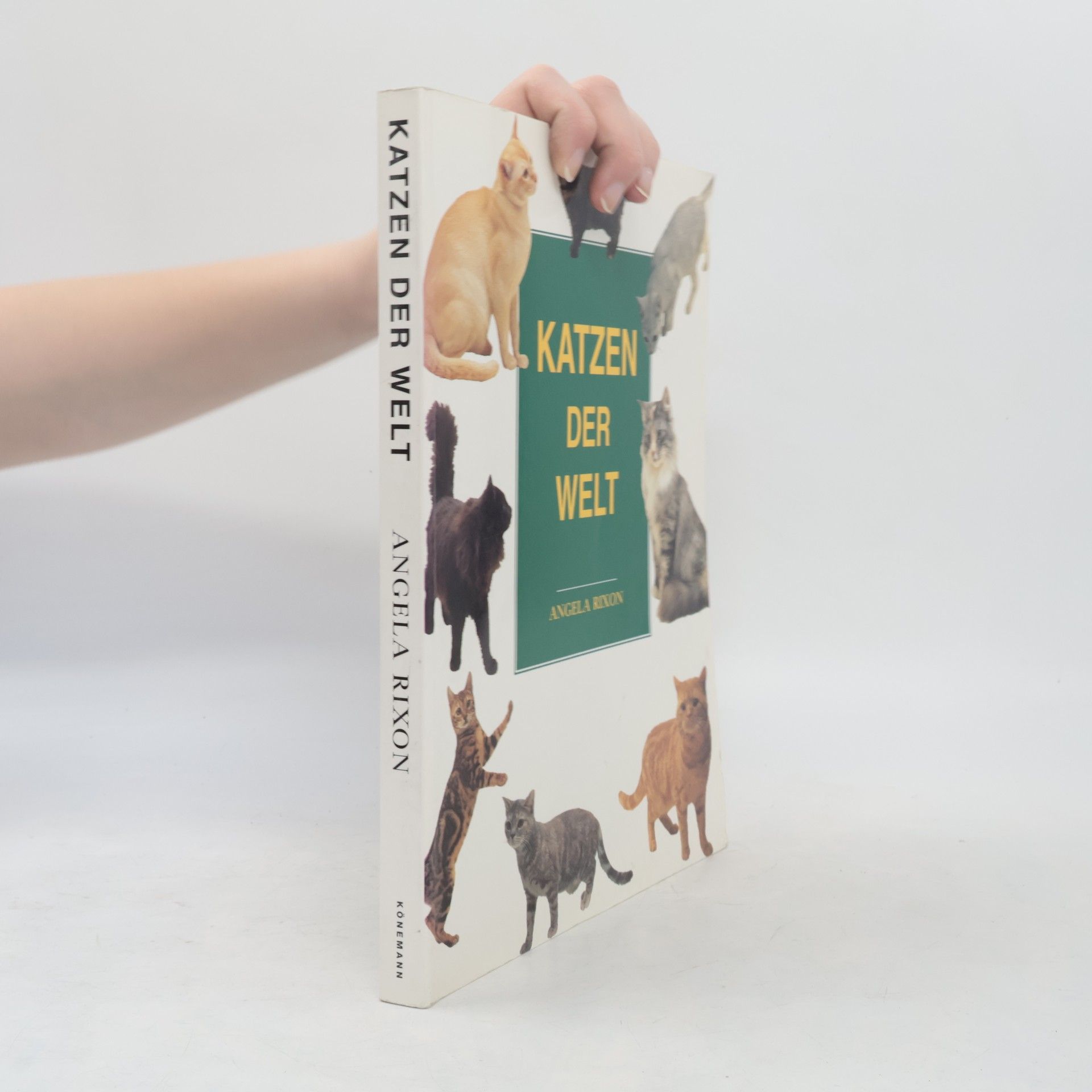 Angela Rixon Katzen der Welt