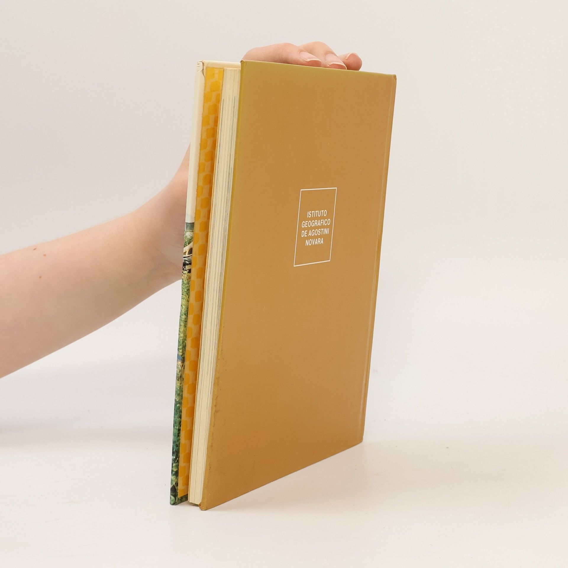 Autorenkollektiv L'Ecologia