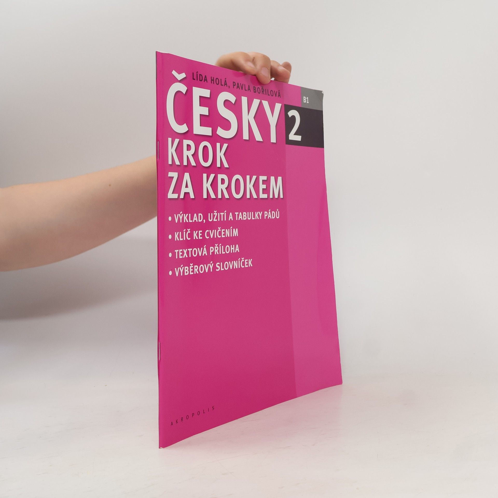 Lída Holá Česky krok za krokem 2. B1 (Příloha)